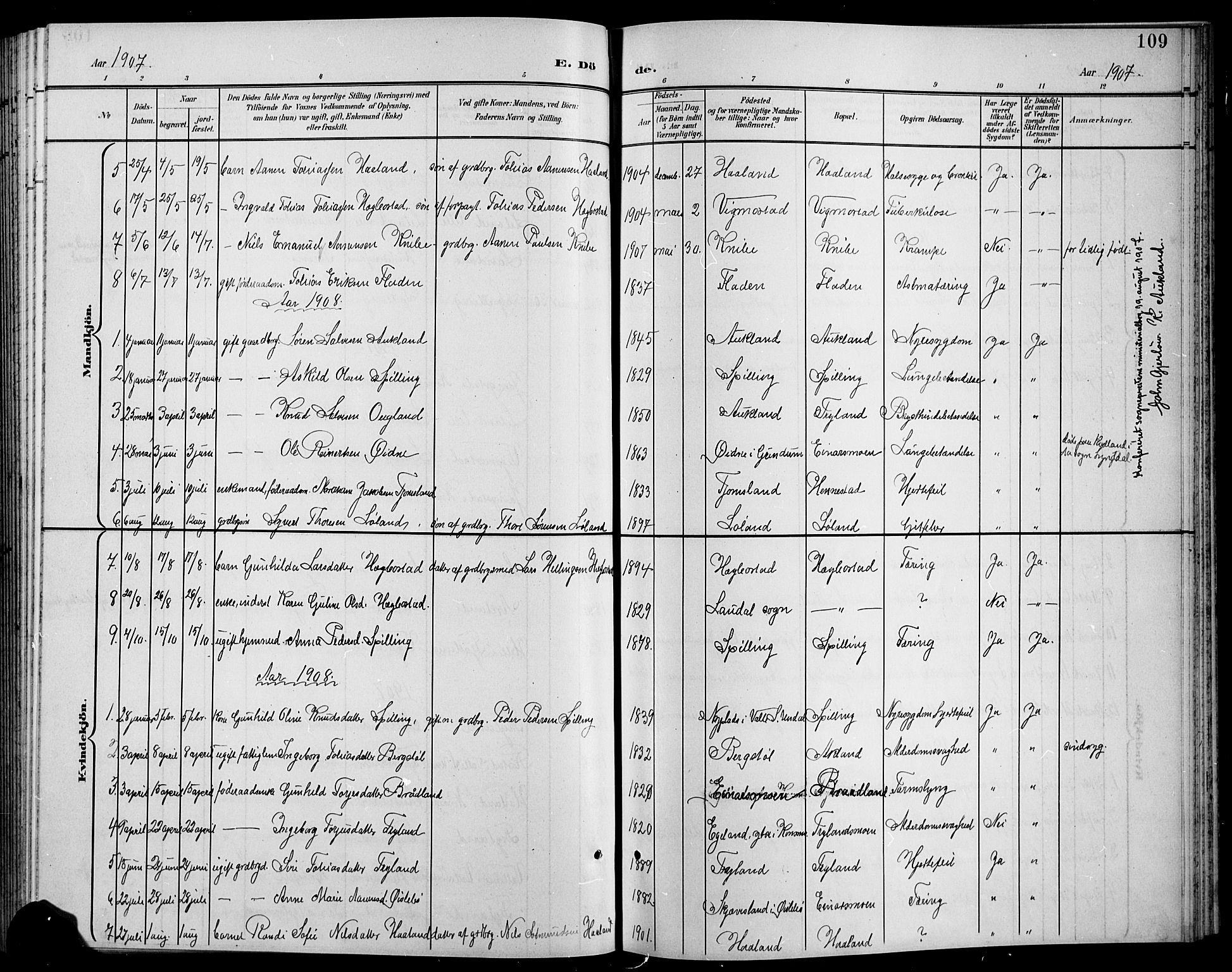 Nord-Audnedal sokneprestkontor, SAK/1111-0032/F/Fb/Fbb/L0004: Parish register (copy) no. B 4, 1901-1917, p. 109