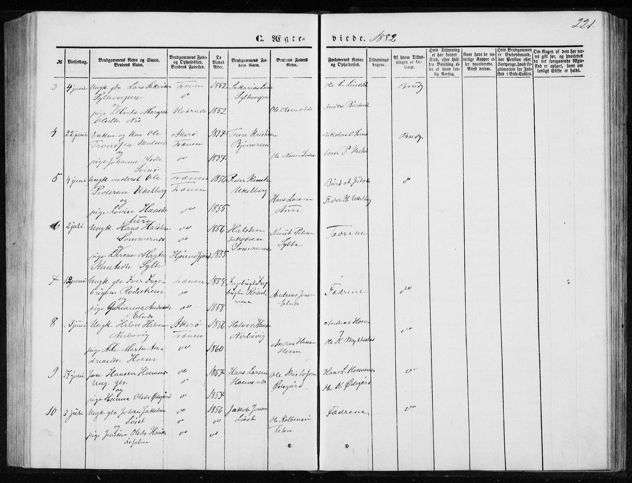 Ministerialprotokoller, klokkerbøker og fødselsregistre - Møre og Romsdal, AV/SAT-A-1454/565/L0754: Parish register (copy) no. 565C03, 1870-1896, p. 221