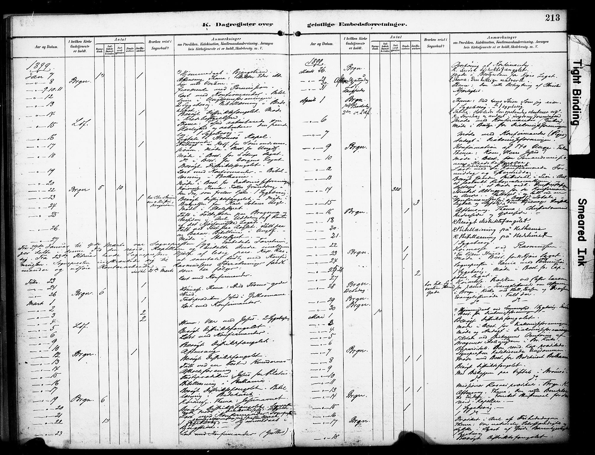 Bragernes kirkebøker, SAKO/A-6/F/Fc/L0006: Parish register (official) no. III 6, 1888-1899, p. 213