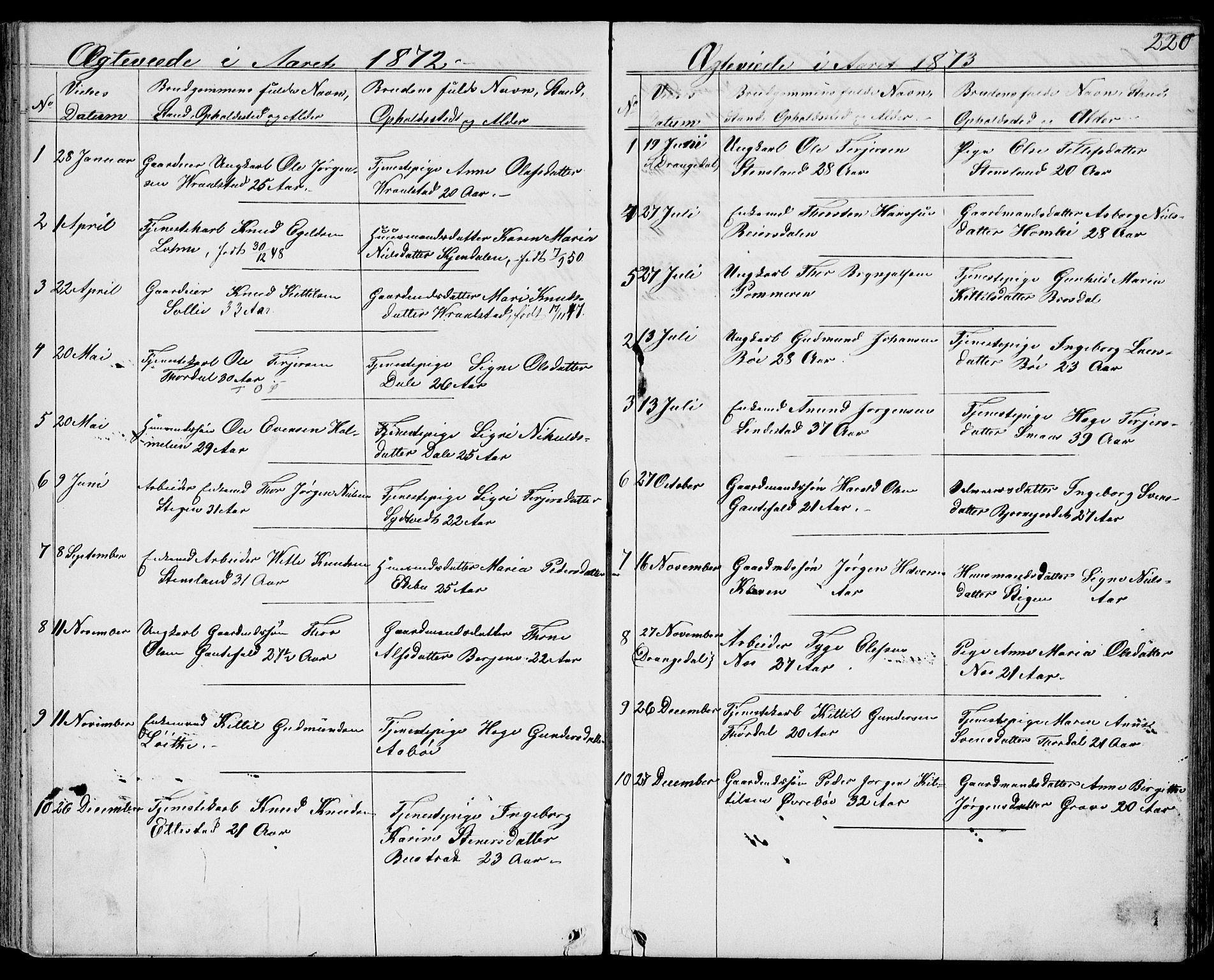 Drangedal kirkebøker, SAKO/A-258/G/Gb/L0001: Parish register (copy) no. II 1, 1856-1894, p. 220