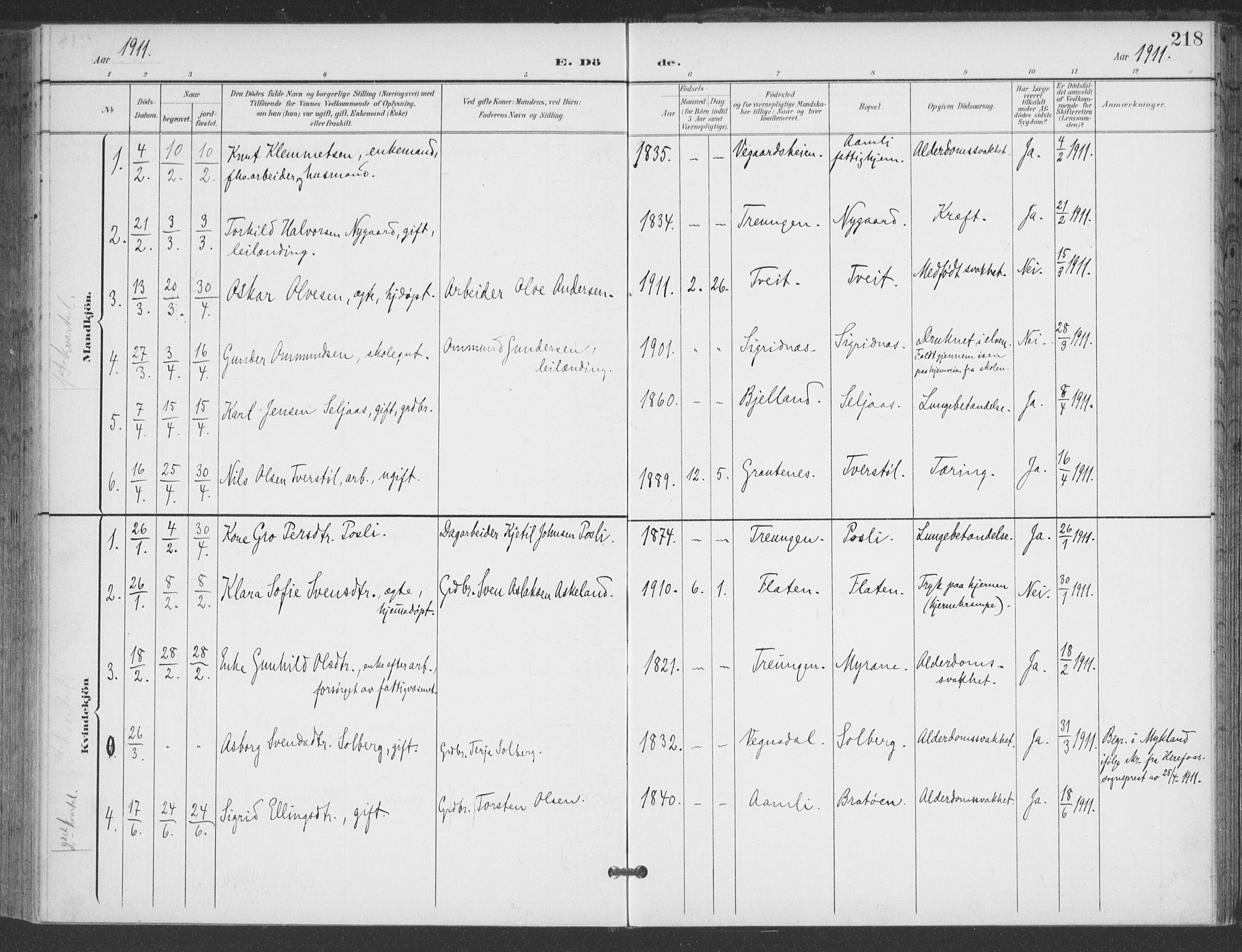 Åmli sokneprestkontor, AV/SAK-1111-0050/F/Fa/Fac/L0012: Parish register (official) no. A 12, 1900-1914, p. 218