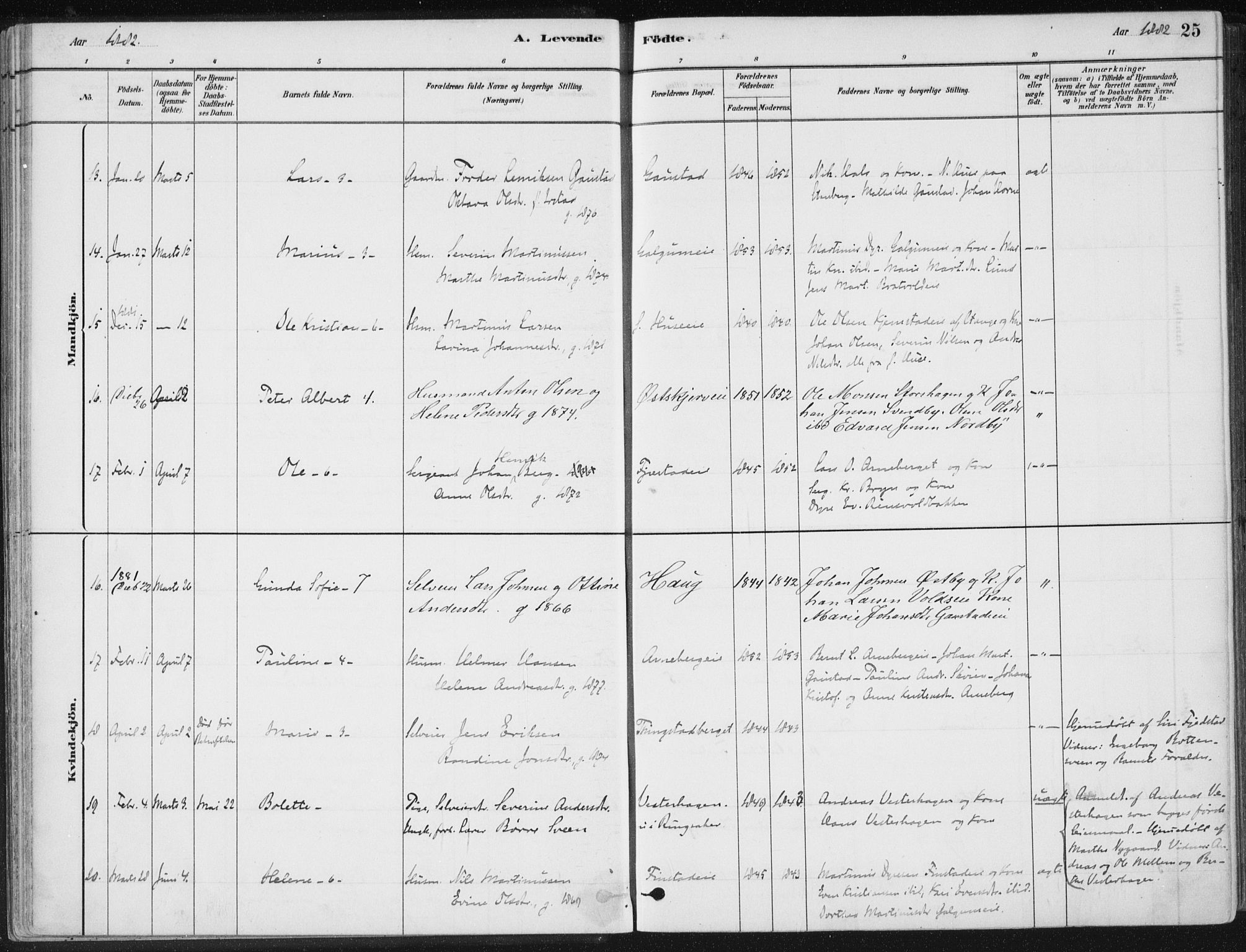 Romedal prestekontor, AV/SAH-PREST-004/K/L0010: Parish register (official) no. 10, 1880-1895, p. 25