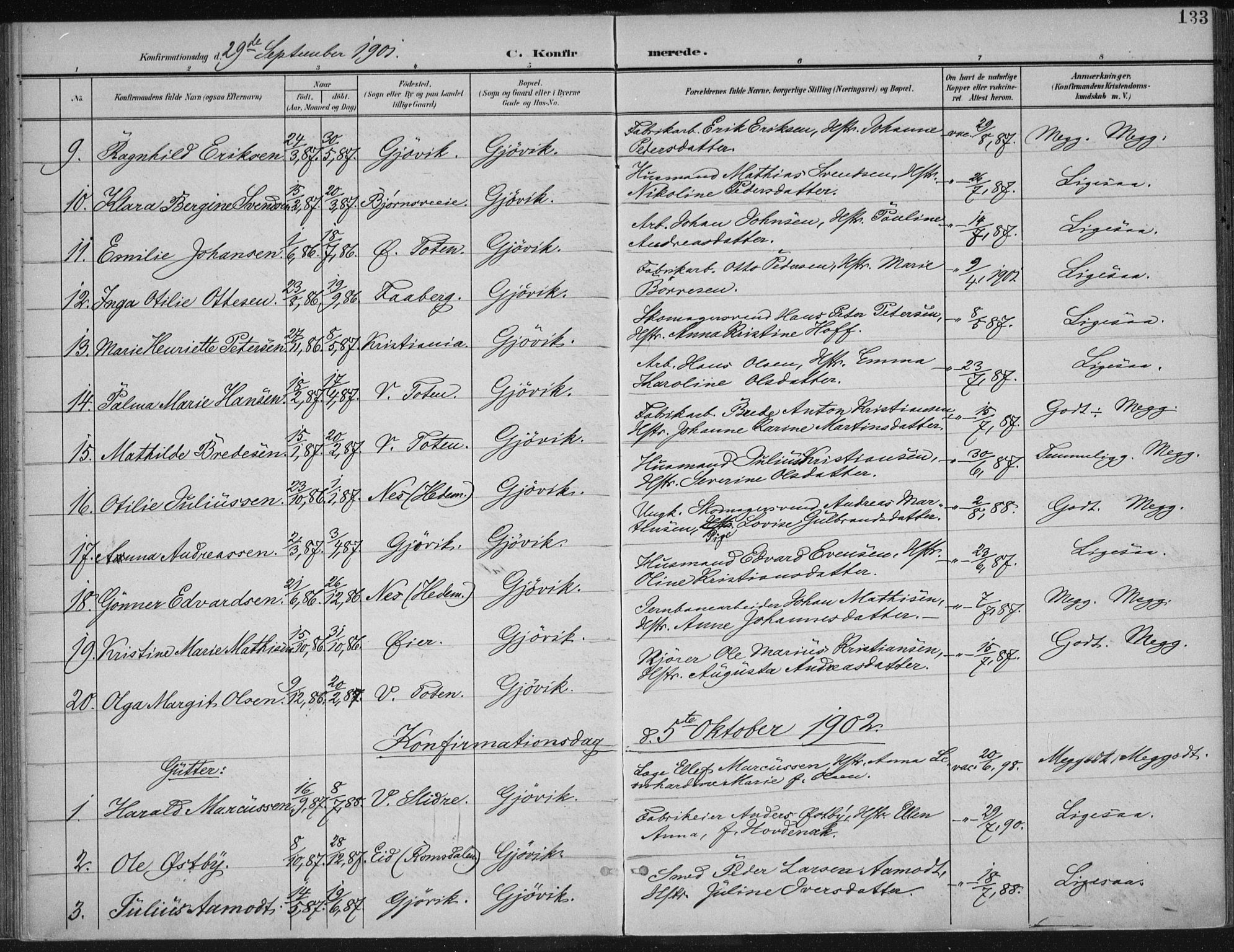 Vardal prestekontor, SAH/PREST-100/H/Ha/Haa/L0013: Parish register (official) no. 13, 1901-1911, p. 133