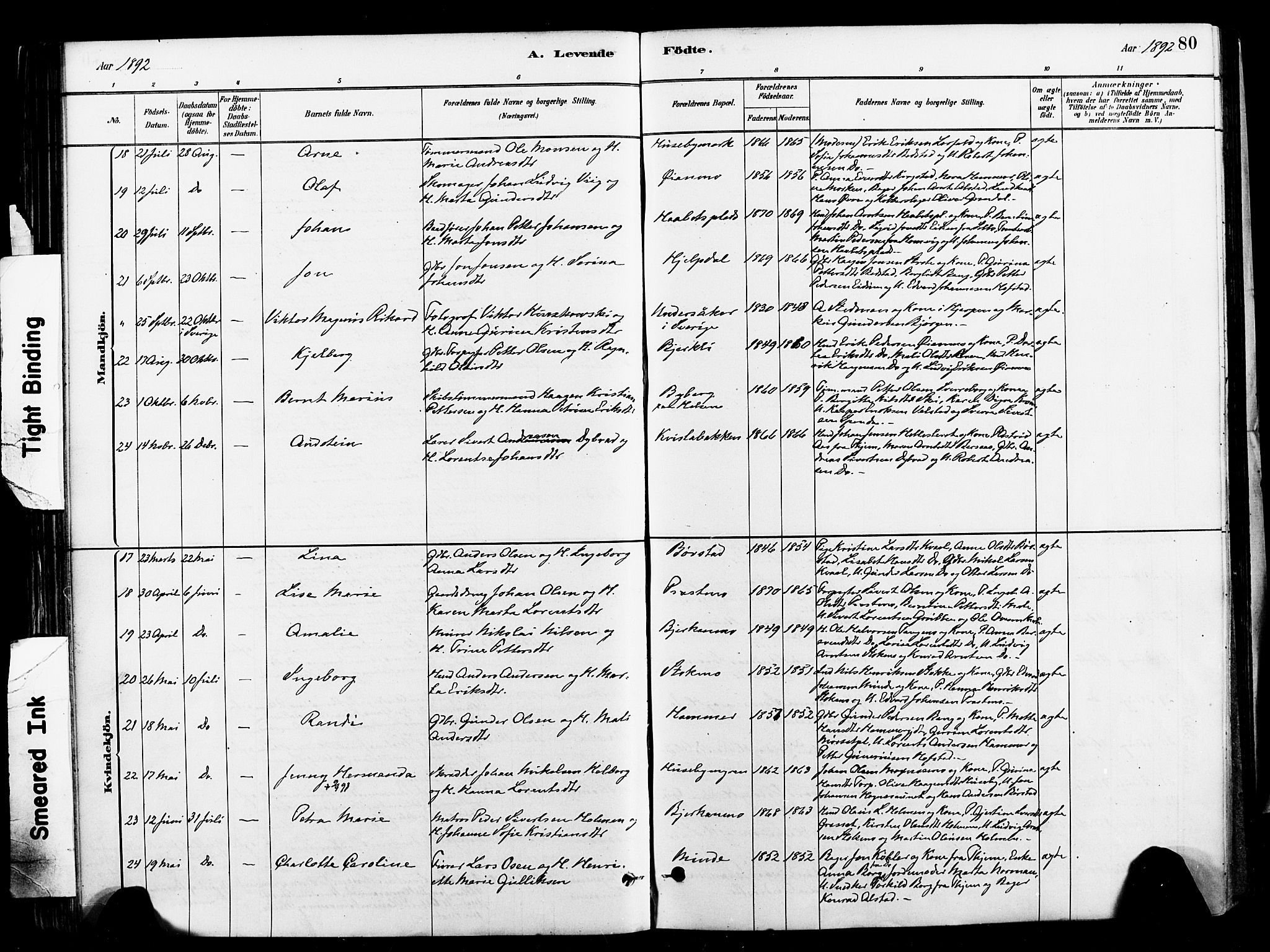 Ministerialprotokoller, klokkerbøker og fødselsregistre - Nord-Trøndelag, AV/SAT-A-1458/709/L0077: Parish register (official) no. 709A17, 1880-1895, p. 80