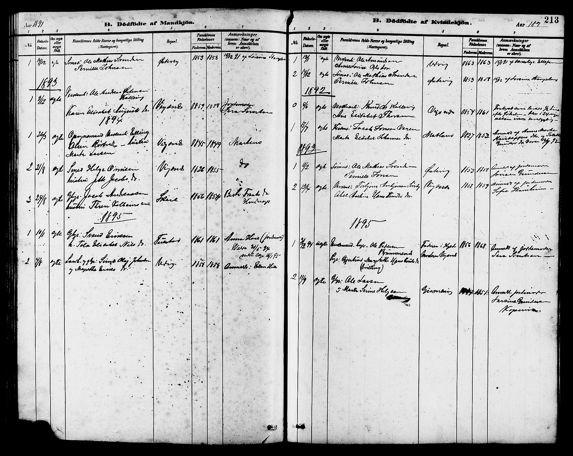 Avaldsnes sokneprestkontor, SAST/A -101851/H/Ha/Hab/L0007: Parish register (copy) no. B 7, 1885-1909, p. 213