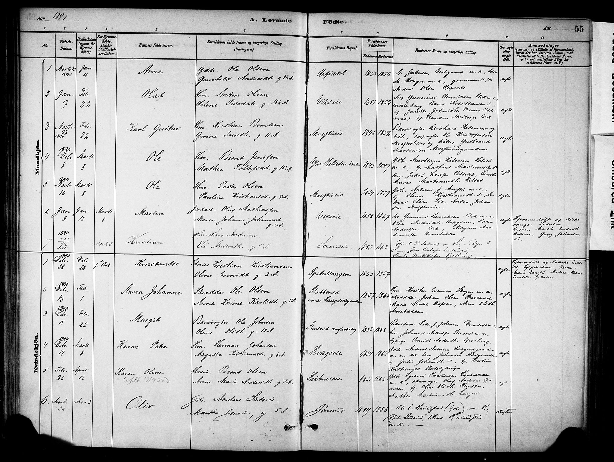 Stange prestekontor, SAH/PREST-002/K/L0018: Parish register (official) no. 18, 1880-1896, p. 55