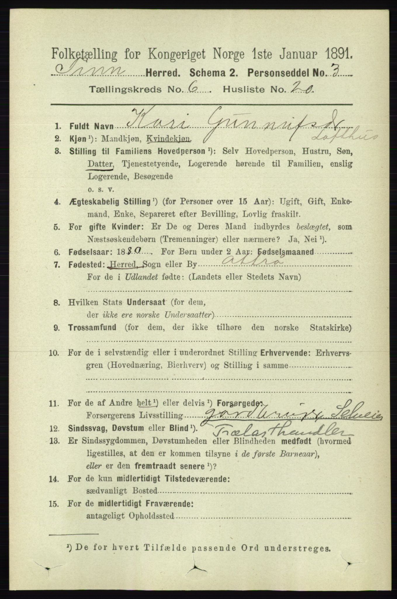 RA, 1891 census for 0826 Tinn, 1891, p. 1347