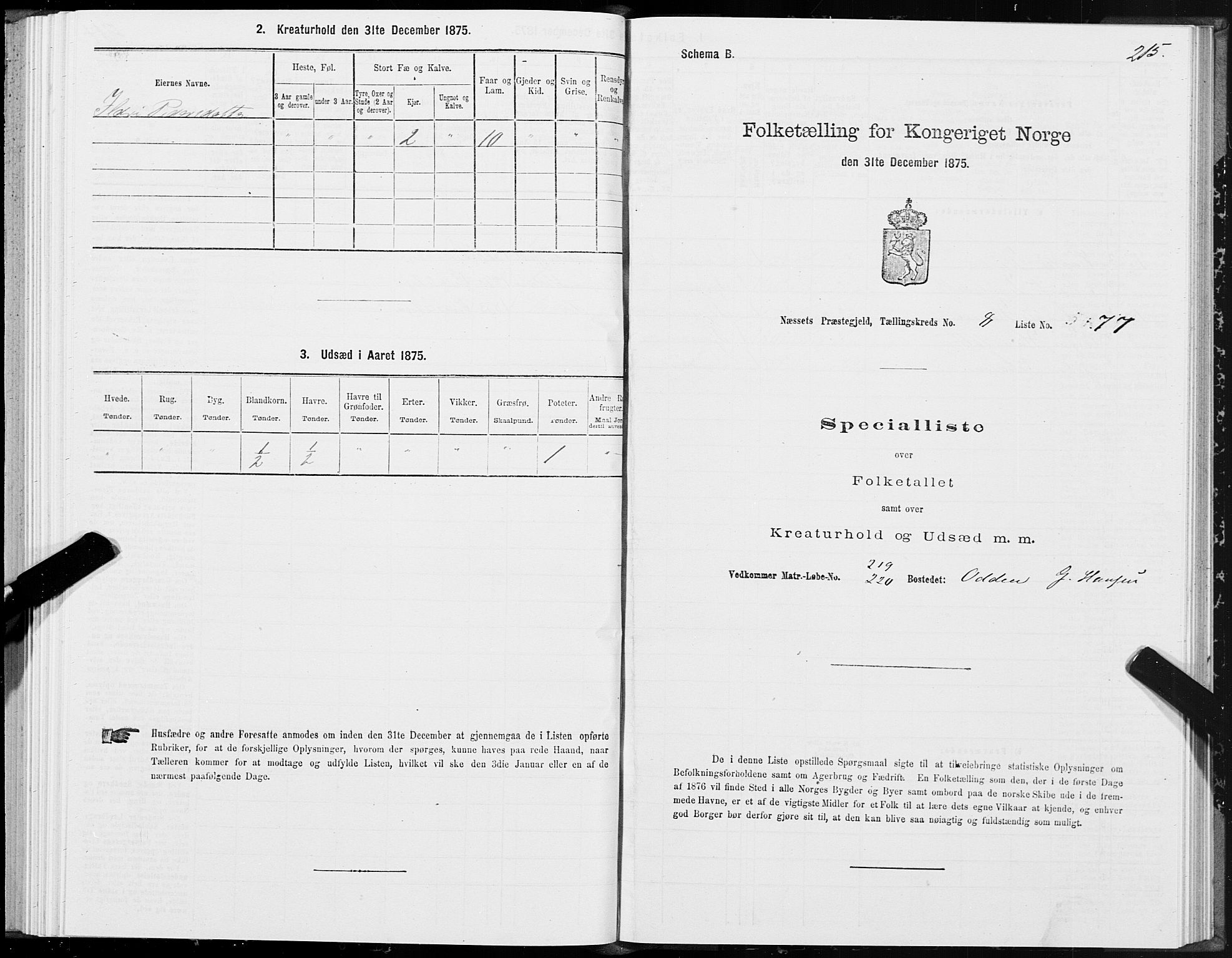 SAT, 1875 census for 1543P Nesset, 1875, p. 4215