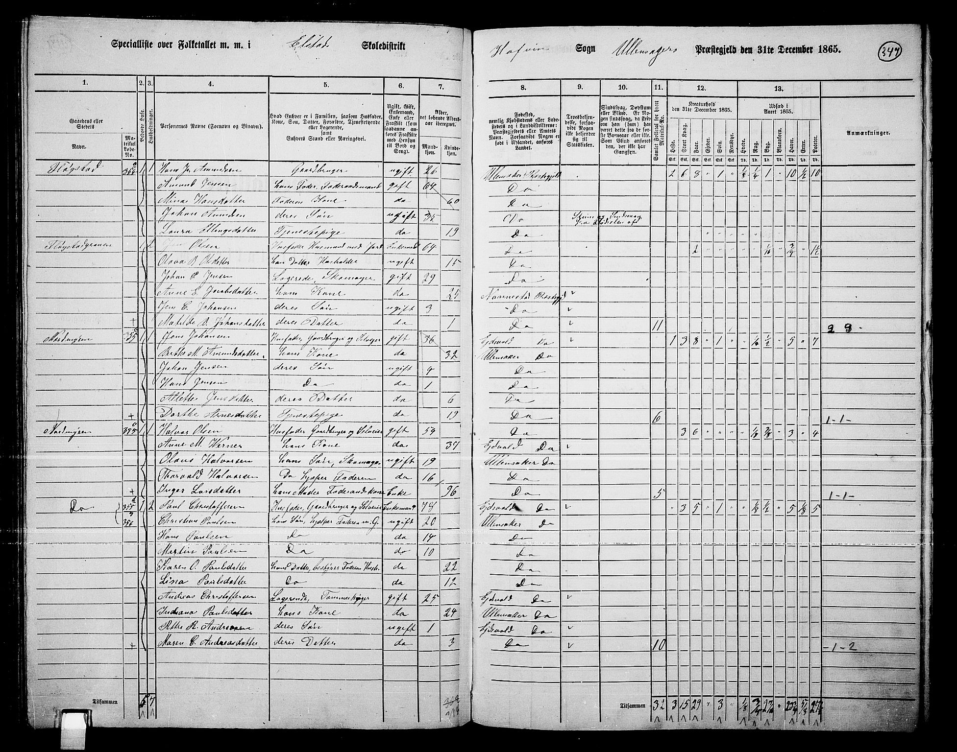 RA, 1865 census for Ullensaker, 1865, p. 299