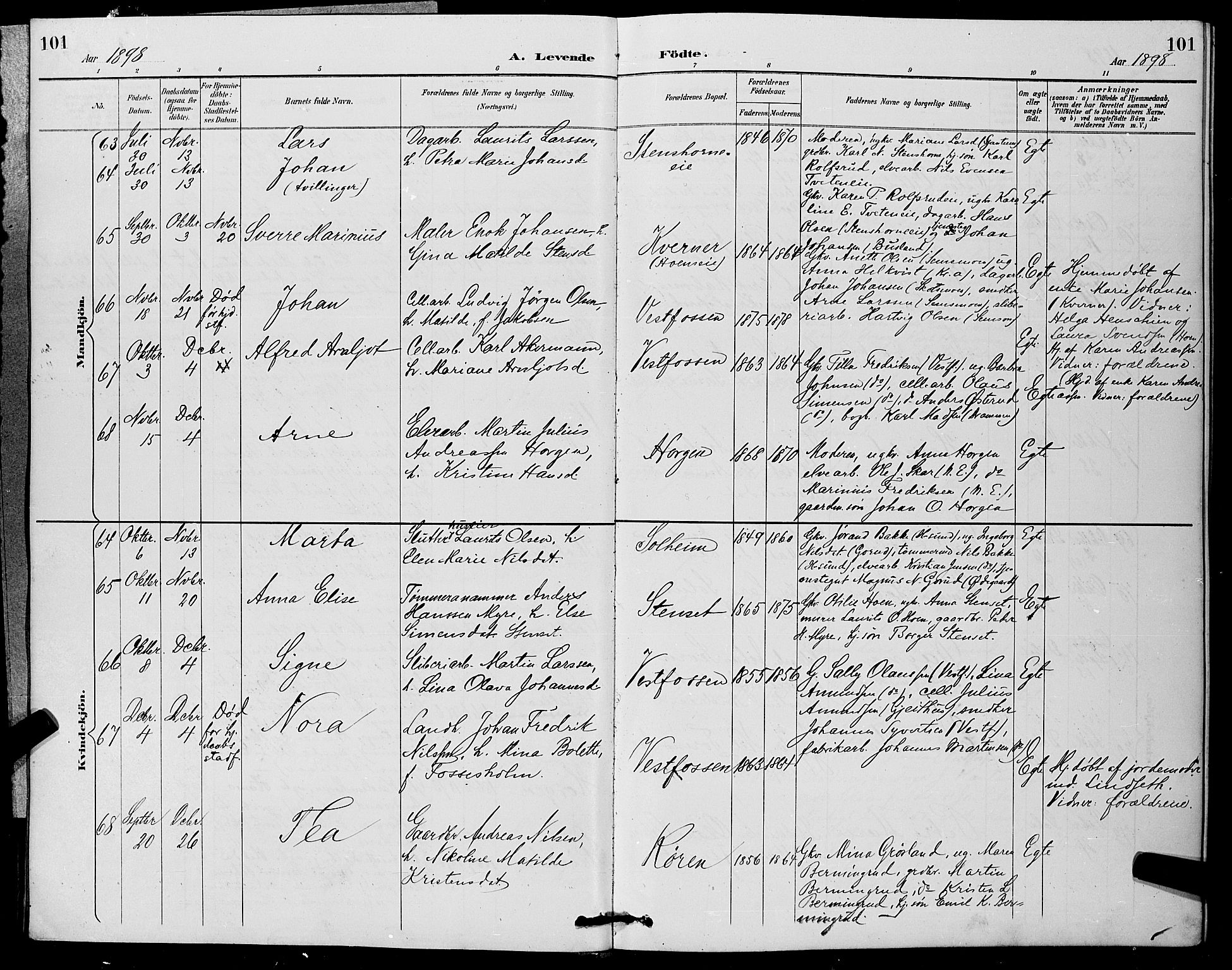 Eiker kirkebøker, AV/SAKO-A-4/G/Ga/L0007: Parish register (copy) no. I 7, 1893-1902, p. 101