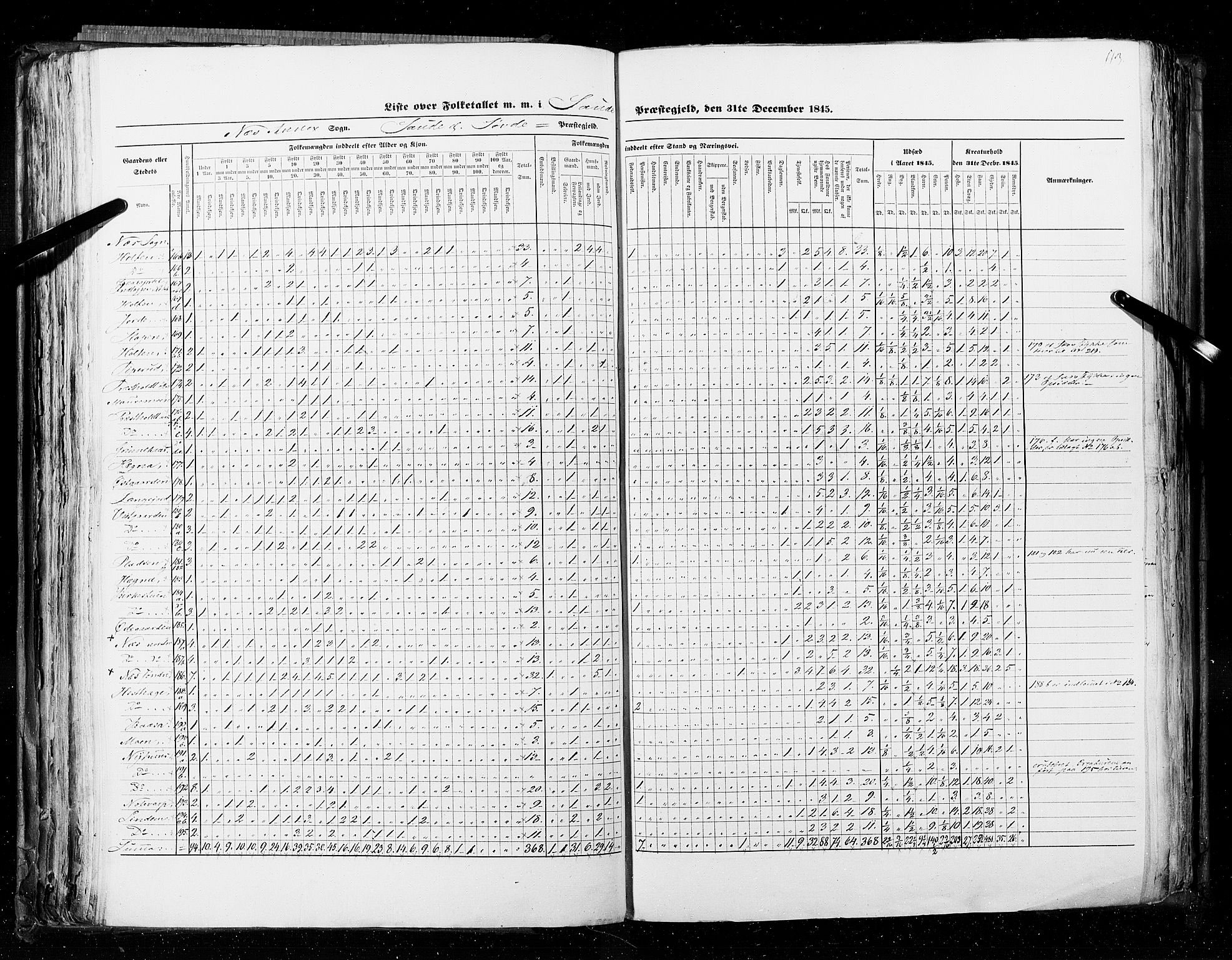 RA, Census 1845, vol. 5: Bratsberg amt og Nedenes og Råbyggelaget amt, 1845, p. 113