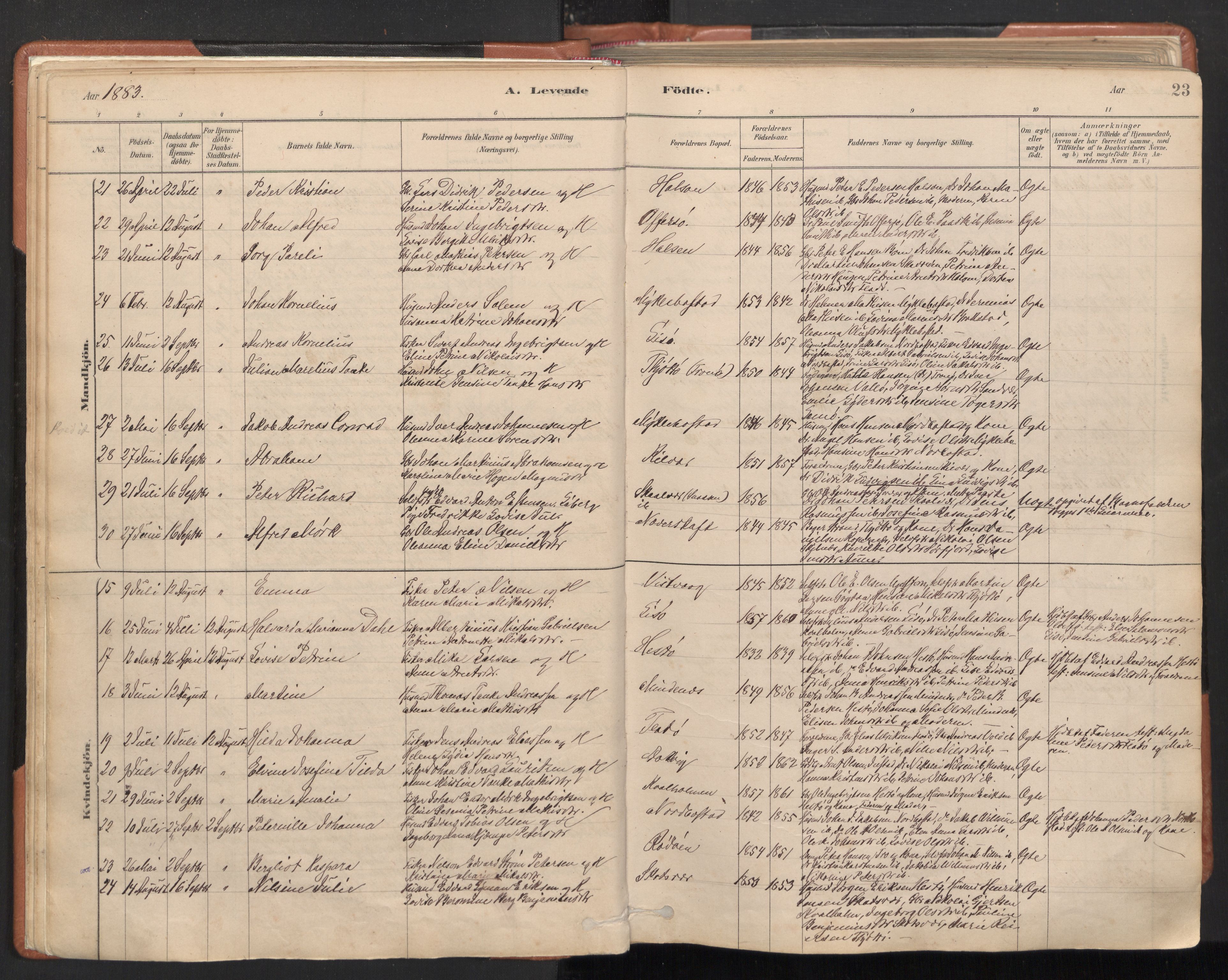 Ministerialprotokoller, klokkerbøker og fødselsregistre - Nordland, SAT/A-1459/817/L0264: Parish register (official) no. 817A04, 1878-1907, p. 23
