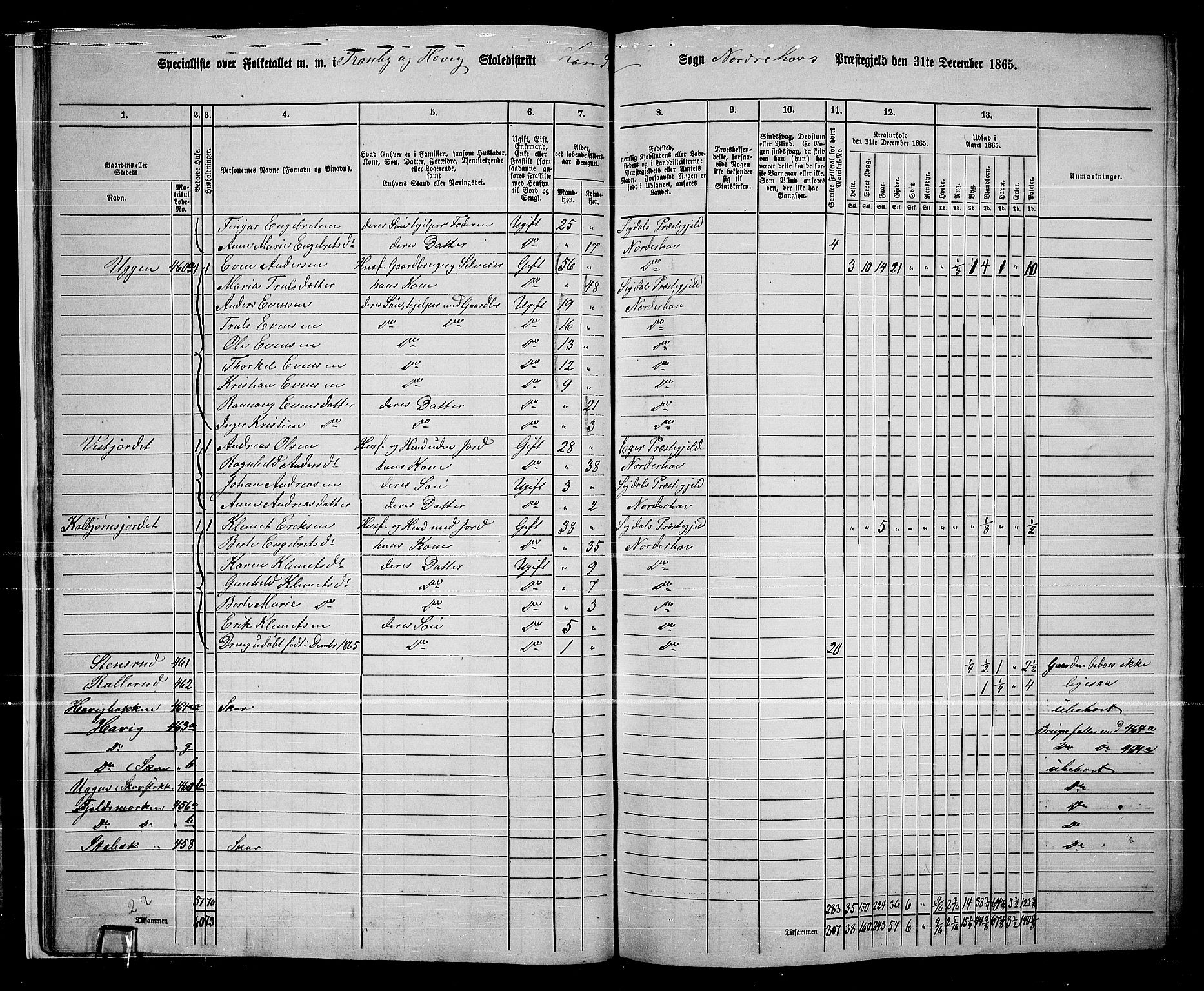 RA, 1865 census for Norderhov/Norderhov, Haug og Lunder, 1865, p. 26