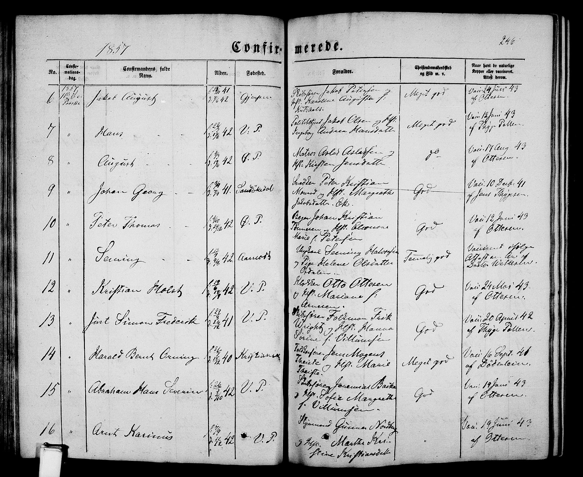 Porsgrunn kirkebøker , SAKO/A-104/G/Gb/L0004: Parish register (copy) no. II 4, 1853-1882, p. 246