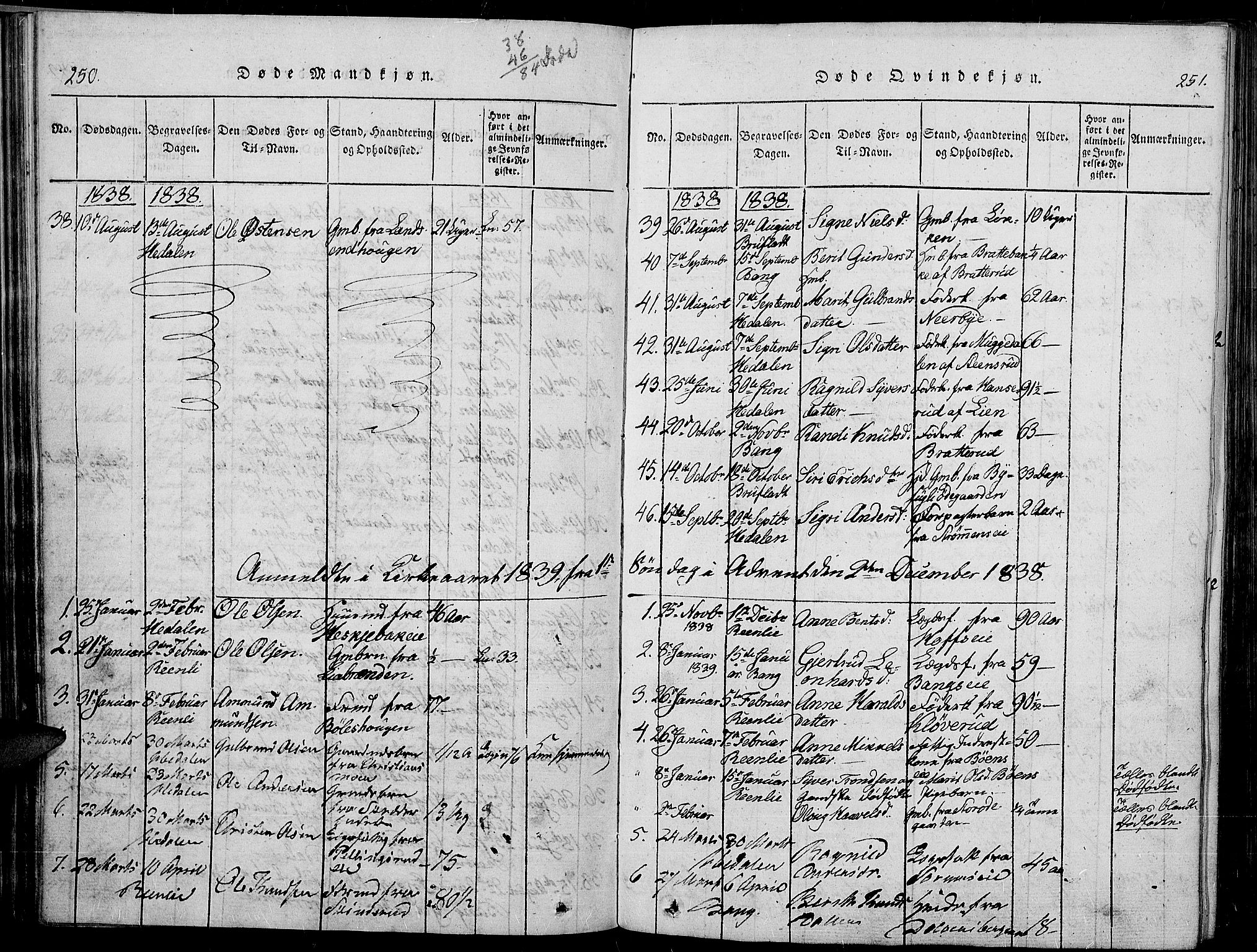 Sør-Aurdal prestekontor, SAH/PREST-128/H/Ha/Haa/L0003: Parish register (official) no. 3, 1825-1840, p. 250-251