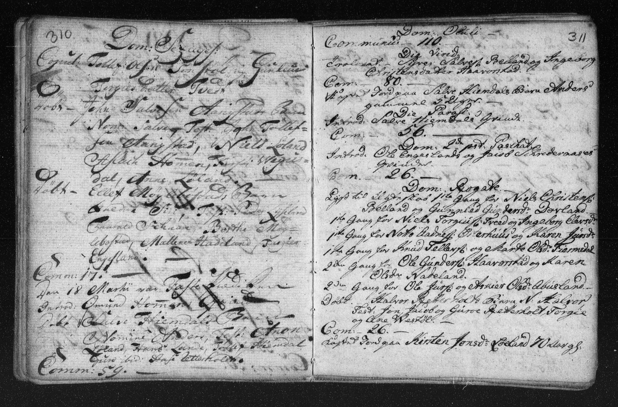 Herefoss sokneprestkontor, SAK/1111-0019/F/Fa/Fab/L0001: Parish register (official) no. A 1, 1704-1779, p. 310-311