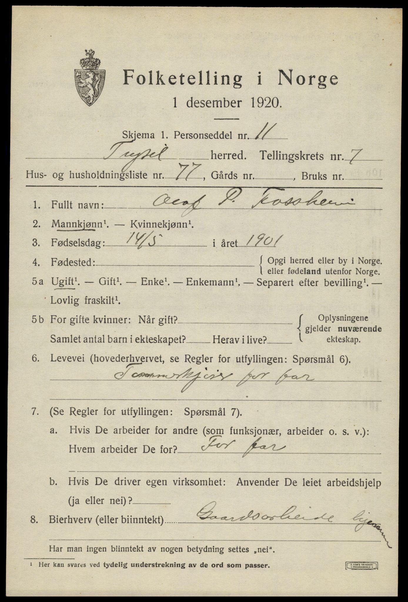 SAH, 1920 census for Trysil, 1920, p. 6213