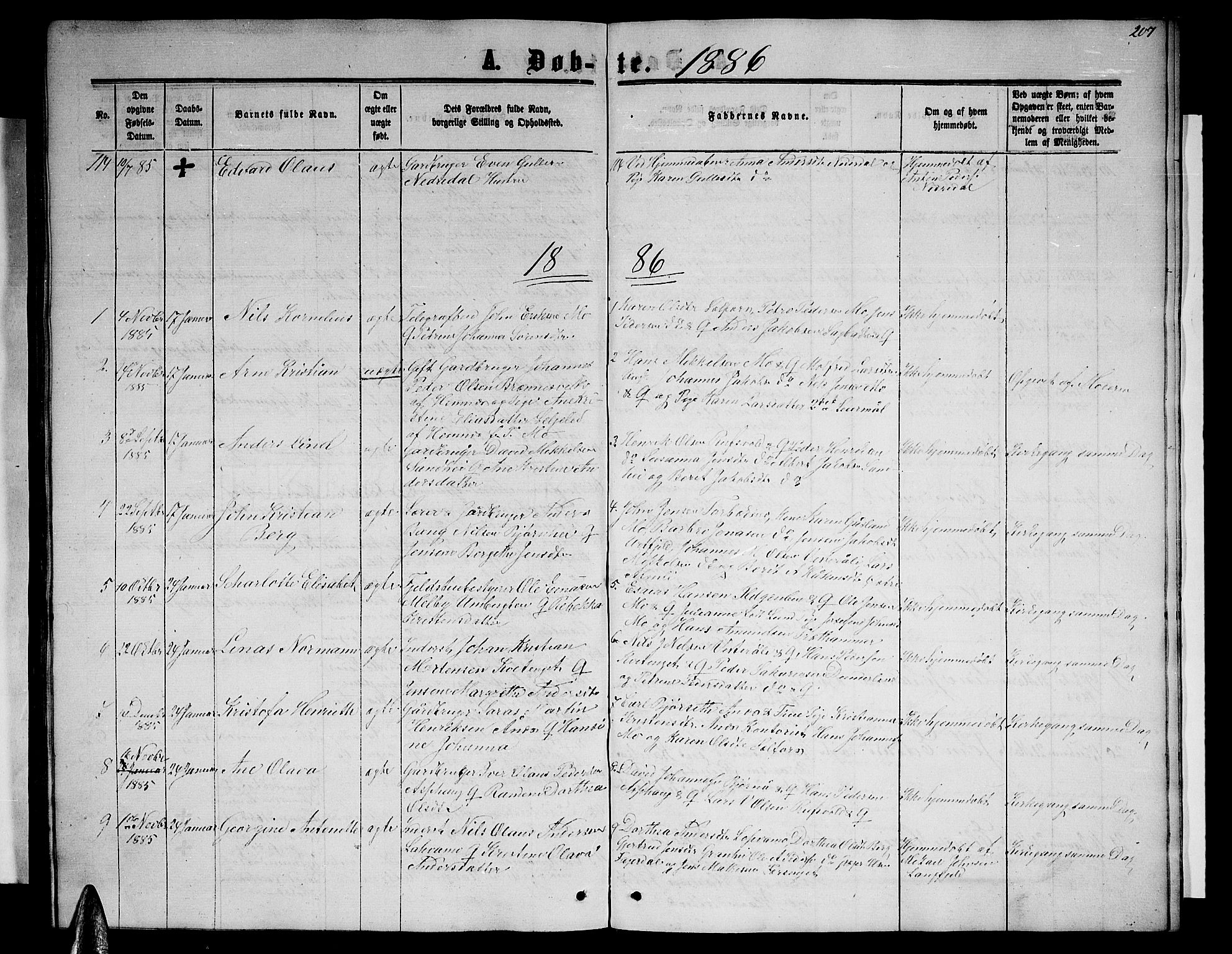 Ministerialprotokoller, klokkerbøker og fødselsregistre - Nordland, SAT/A-1459/827/L0415: Parish register (copy) no. 827C04, 1864-1886, p. 207