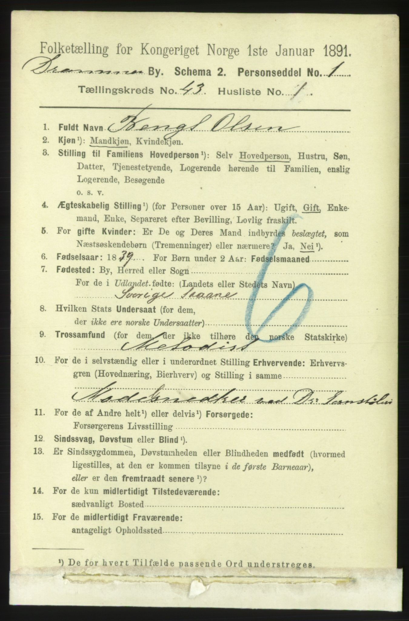 RA, 1891 census for 0602 Drammen, 1891, p. 25039