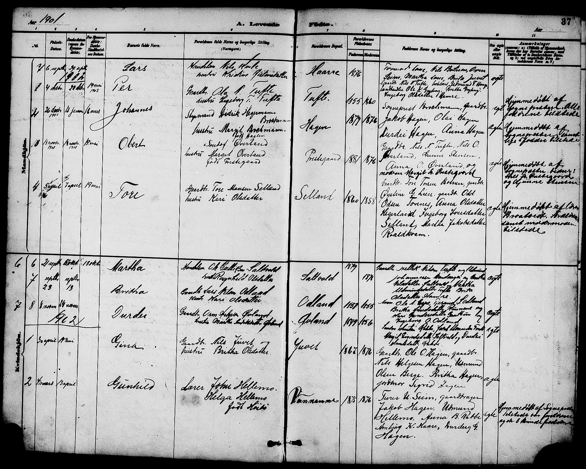 Røldal sokneprestembete, SAB/A-100247: Parish register (copy) no. A 3, 1887-1917, p. 37