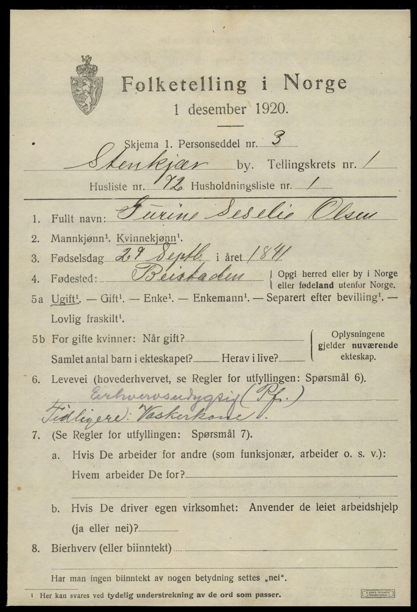 SAT, 1920 census for Steinkjer, 1920, p. 4082