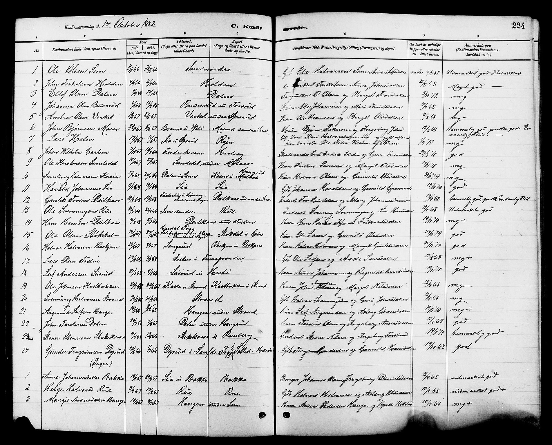 Heddal kirkebøker, SAKO/A-268/G/Ga/L0002: Parish register (copy) no. I 2, 1879-1908, p. 224