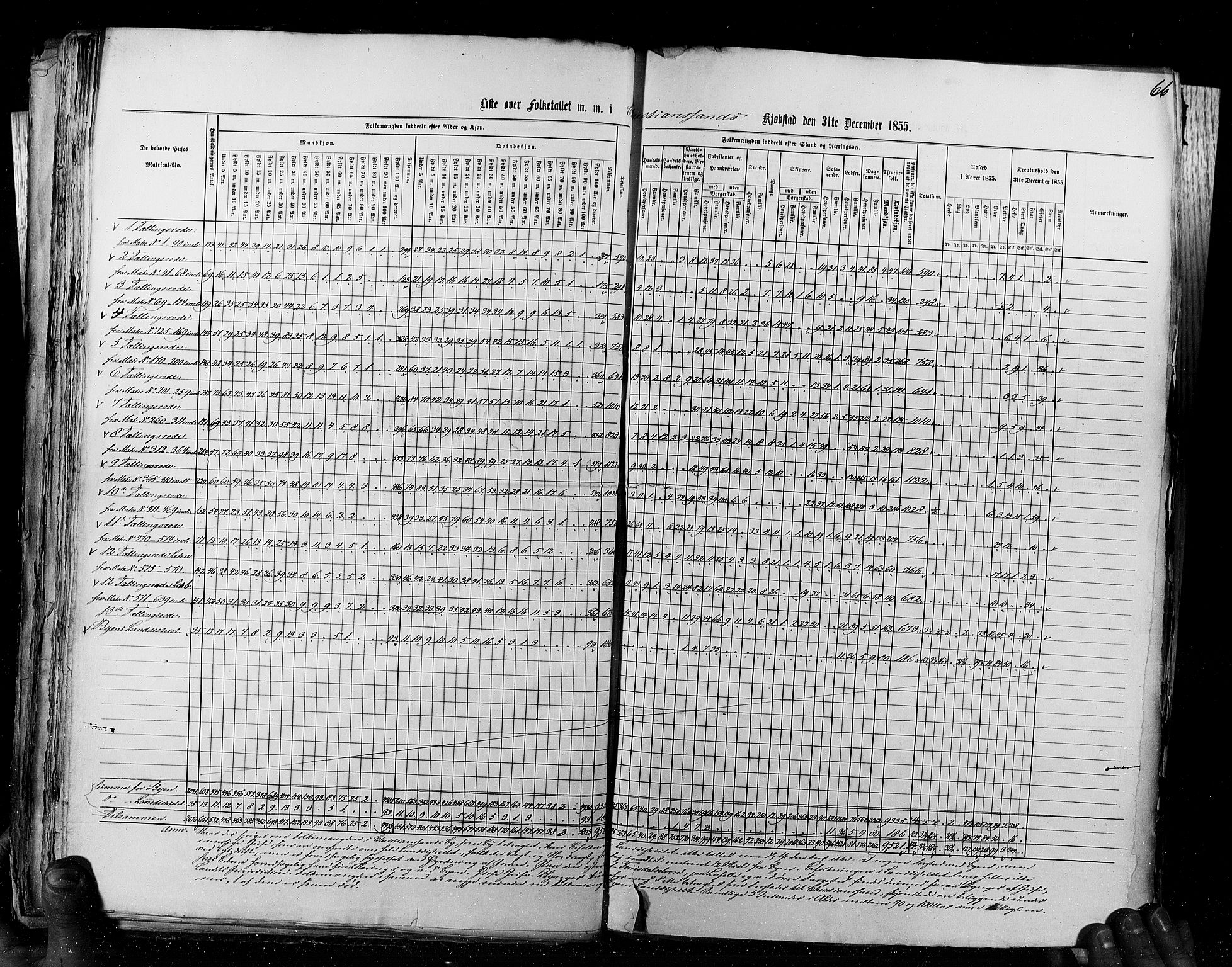 RA, Census 1855, vol. 8: Risør-Vadsø, 1855, p. 66