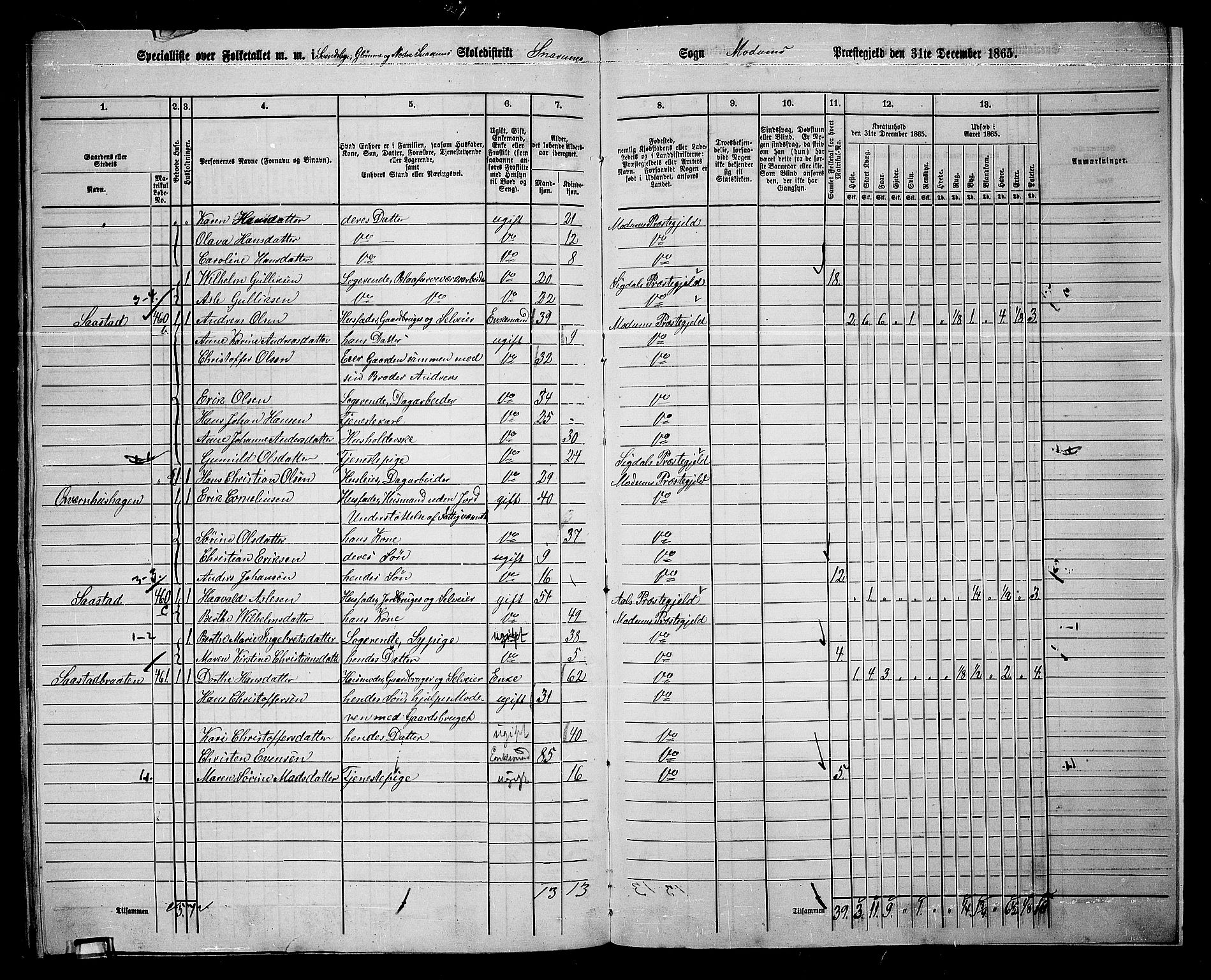 RA, 1865 census for Modum, 1865, p. 328