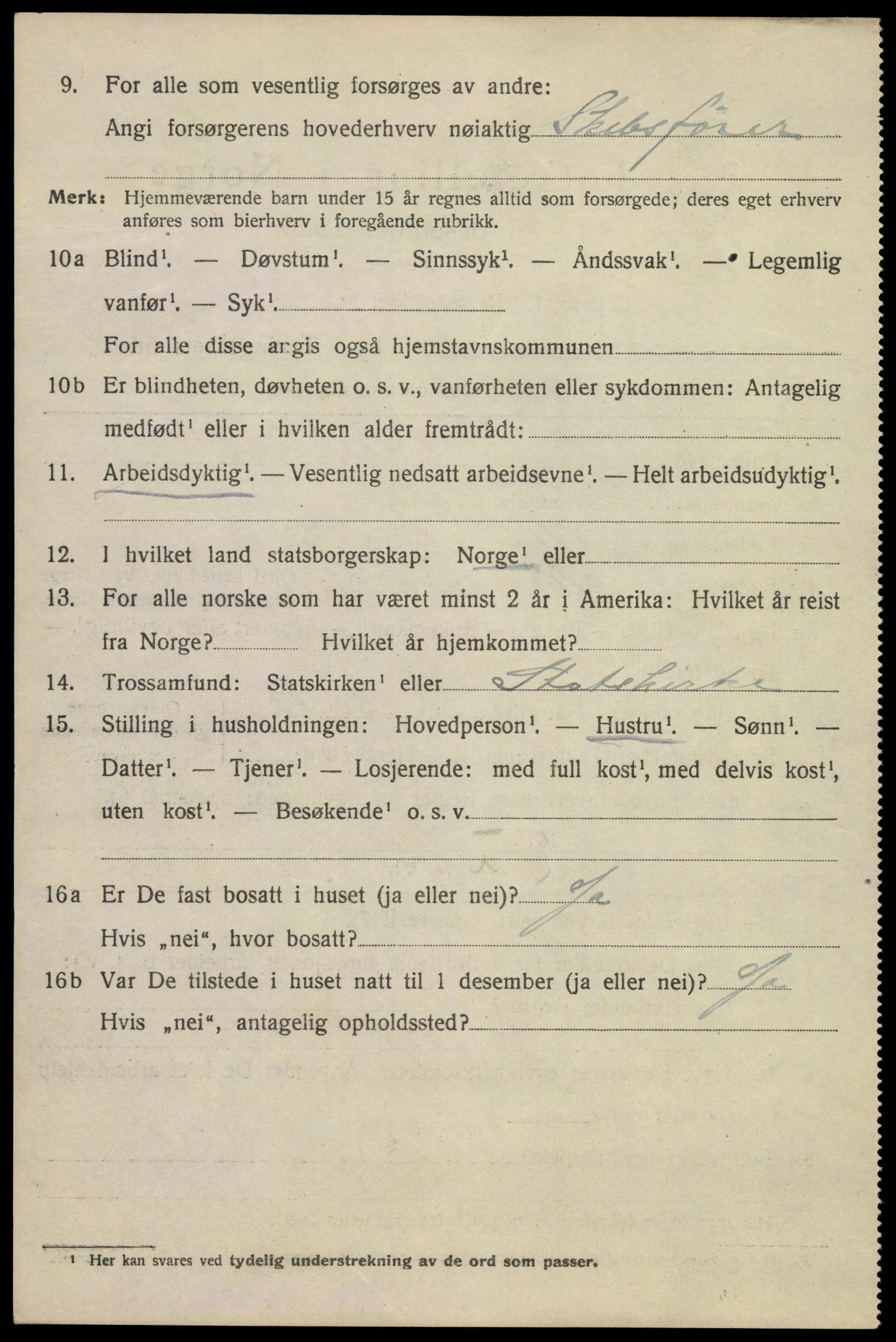 SAKO, 1920 census for Kragerø, 1920, p. 12974
