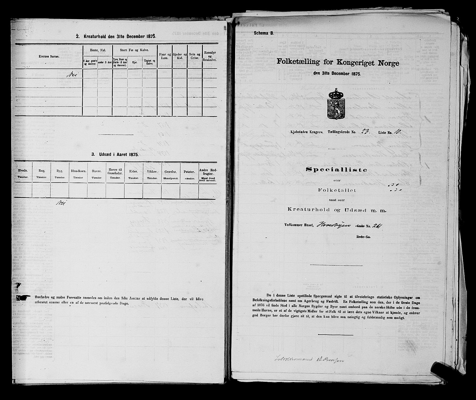 SAKO, 1875 census for 0801P Kragerø, 1875, p. 509