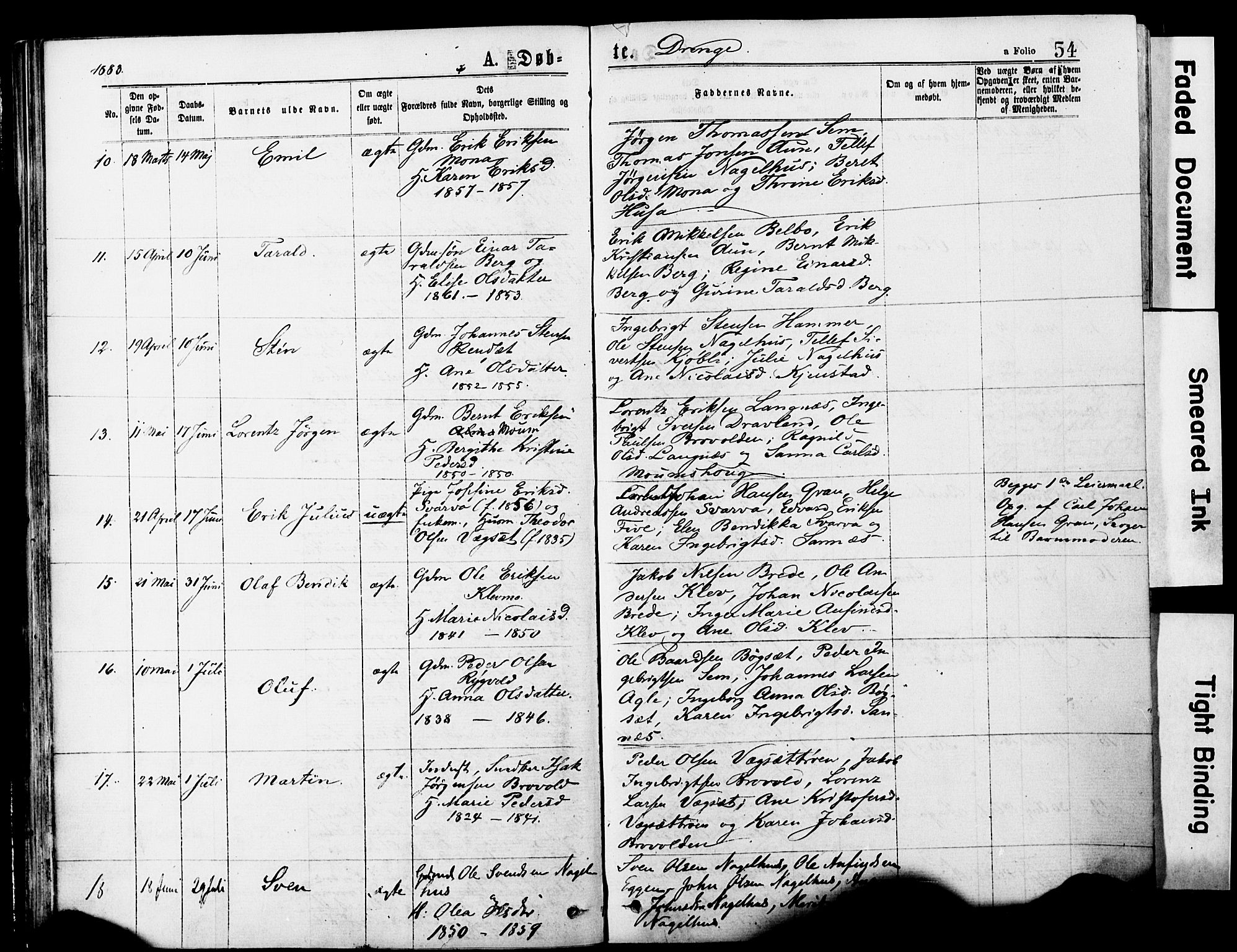 Ministerialprotokoller, klokkerbøker og fødselsregistre - Nord-Trøndelag, AV/SAT-A-1458/749/L0473: Parish register (official) no. 749A07, 1873-1887, p. 54