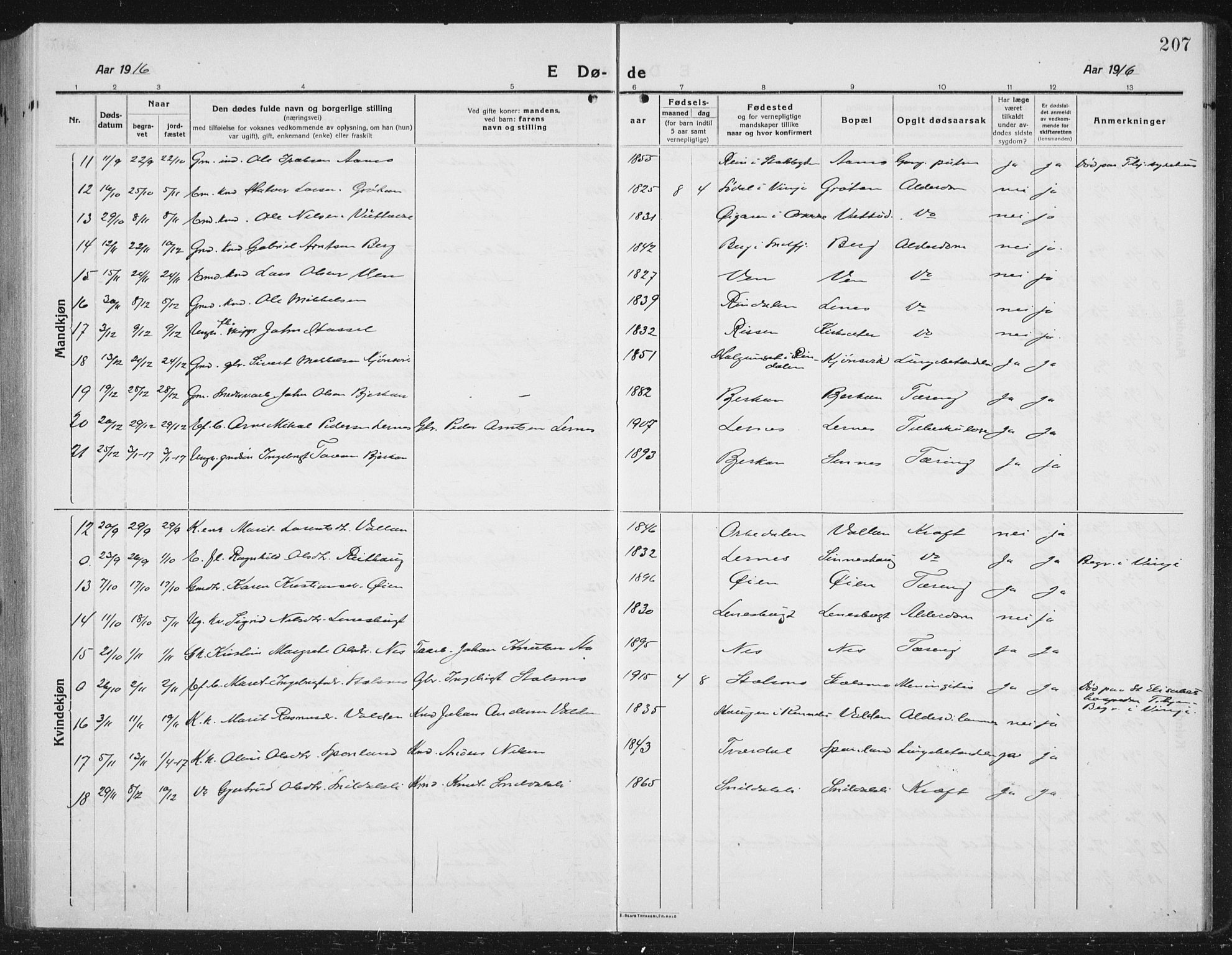 Ministerialprotokoller, klokkerbøker og fødselsregistre - Sør-Trøndelag, SAT/A-1456/630/L0506: Parish register (copy) no. 630C04, 1914-1933, p. 207
