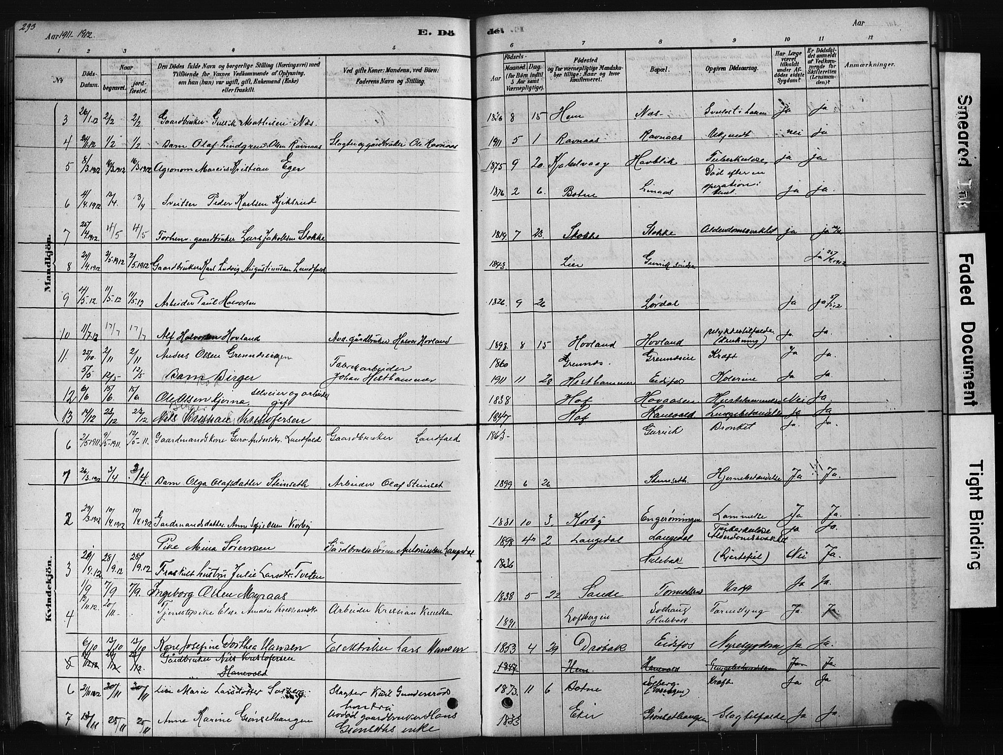 Hof kirkebøker, AV/SAKO-A-64/G/Ga/L0004: Parish register (copy) no. I 4, 1878-1930, p. 293