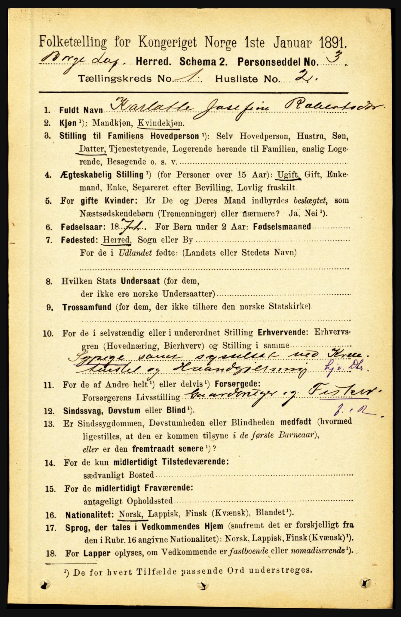 RA, 1891 census for 1862 Borge, 1891, p. 139