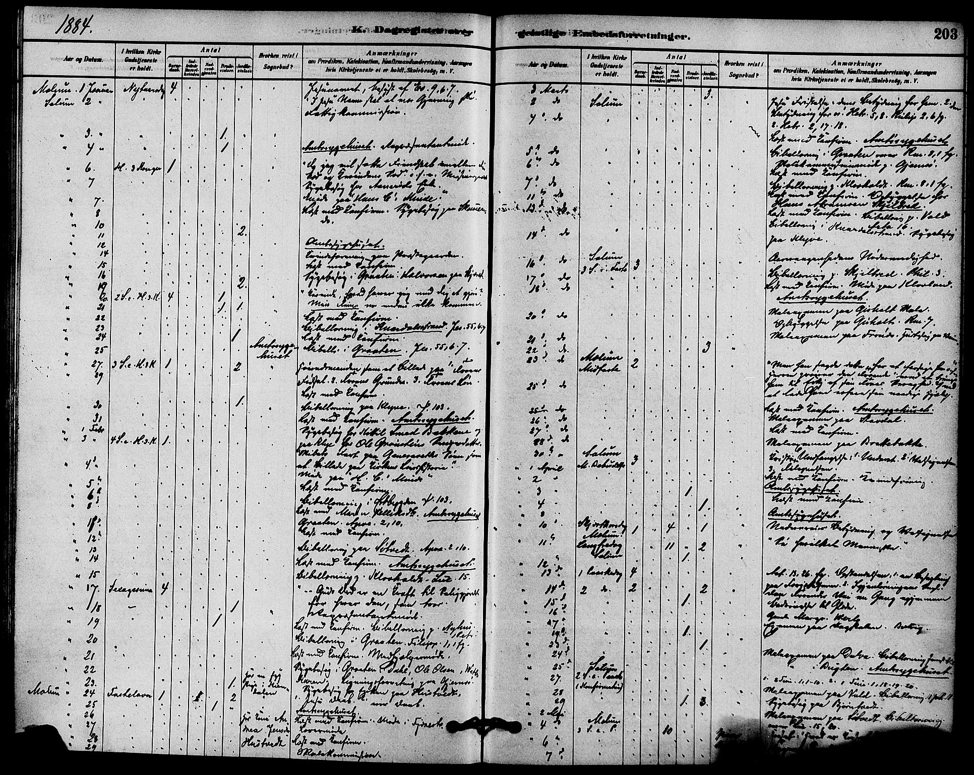 Solum kirkebøker, SAKO/A-306/F/Fb/L0001: Parish register (official) no. II 1, 1877-1892, p. 203