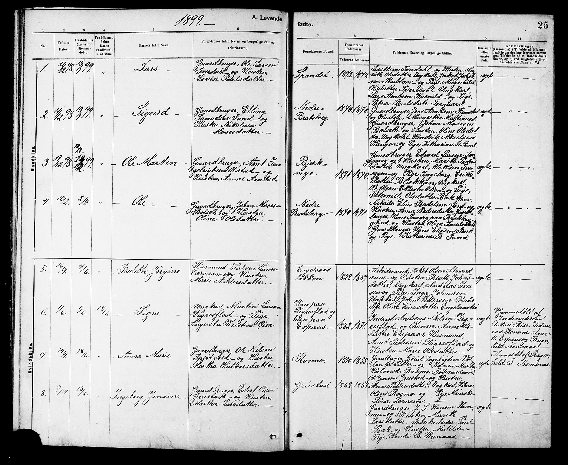 Ministerialprotokoller, klokkerbøker og fødselsregistre - Sør-Trøndelag, AV/SAT-A-1456/608/L0341: Parish register (copy) no. 608C07, 1890-1912, p. 25