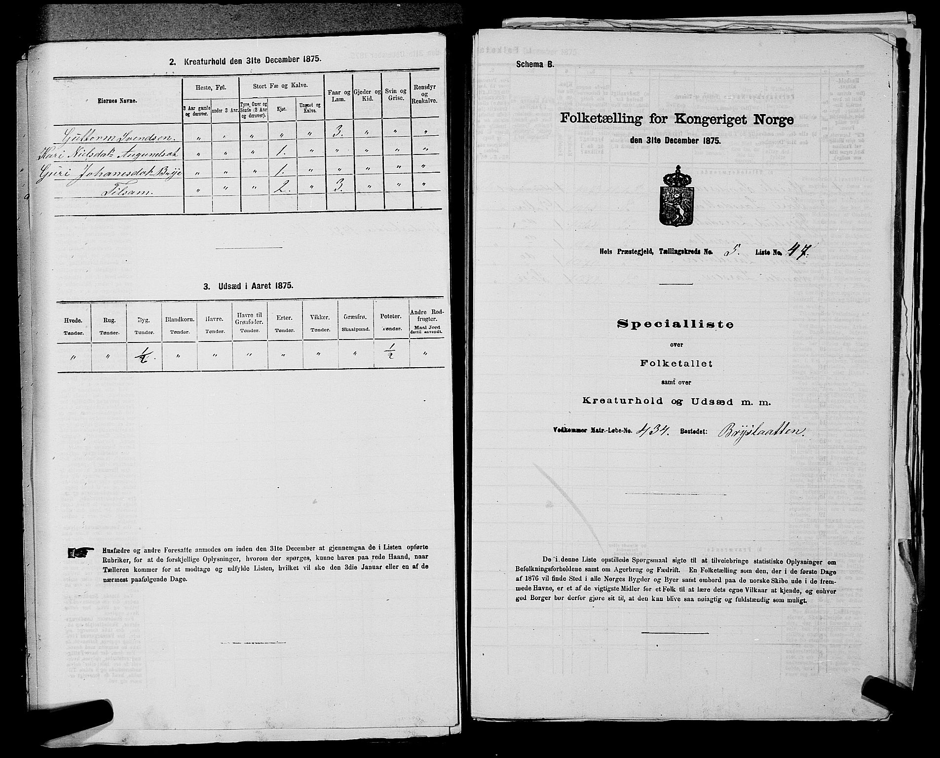 SAKO, 1875 census for 0620P Hol, 1875, p. 702