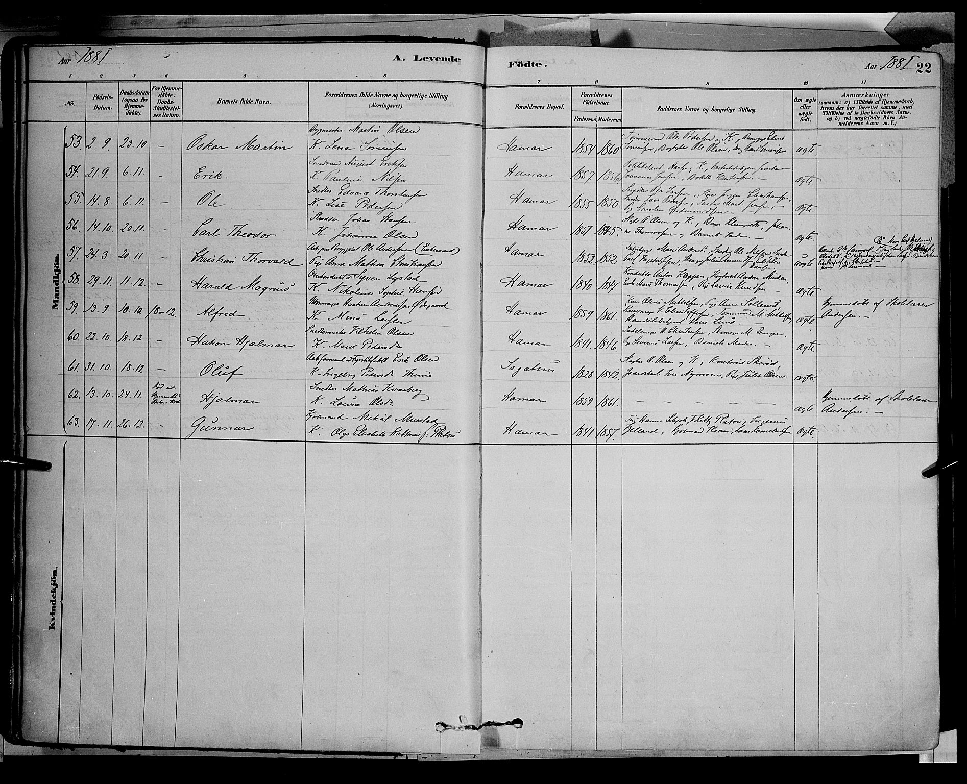 Vang prestekontor, Hedmark, AV/SAH-PREST-008/H/Ha/Haa/L0016: Parish register (official) no. 16, 1878-1889, p. 22