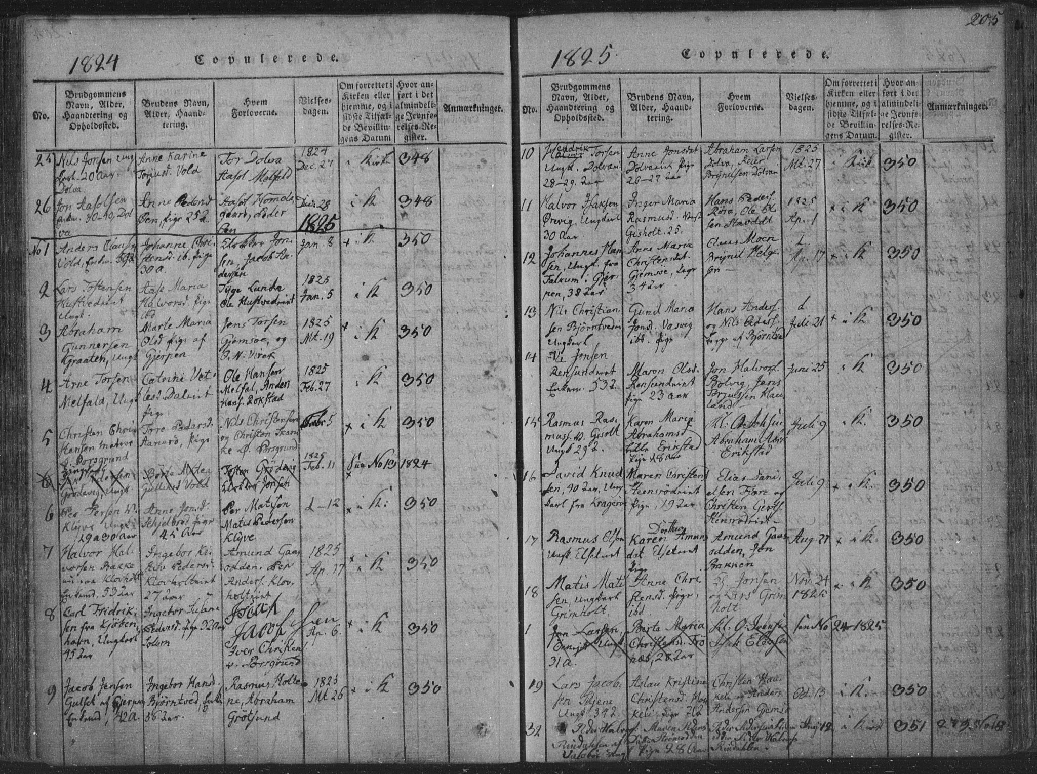 Solum kirkebøker, SAKO/A-306/F/Fa/L0004: Parish register (official) no. I 4, 1814-1833, p. 205