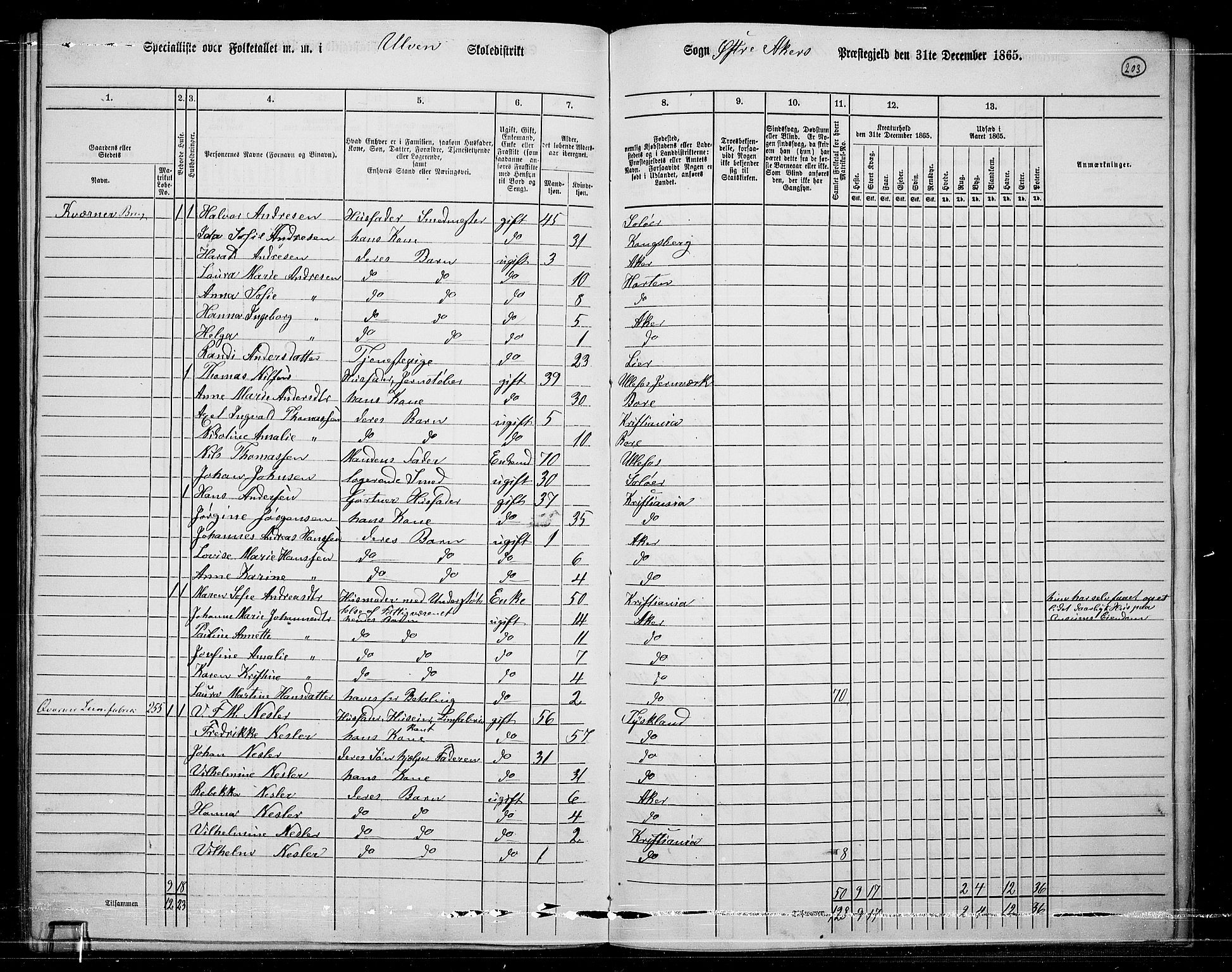 RA, 1865 census for Østre Aker, 1865, p. 189