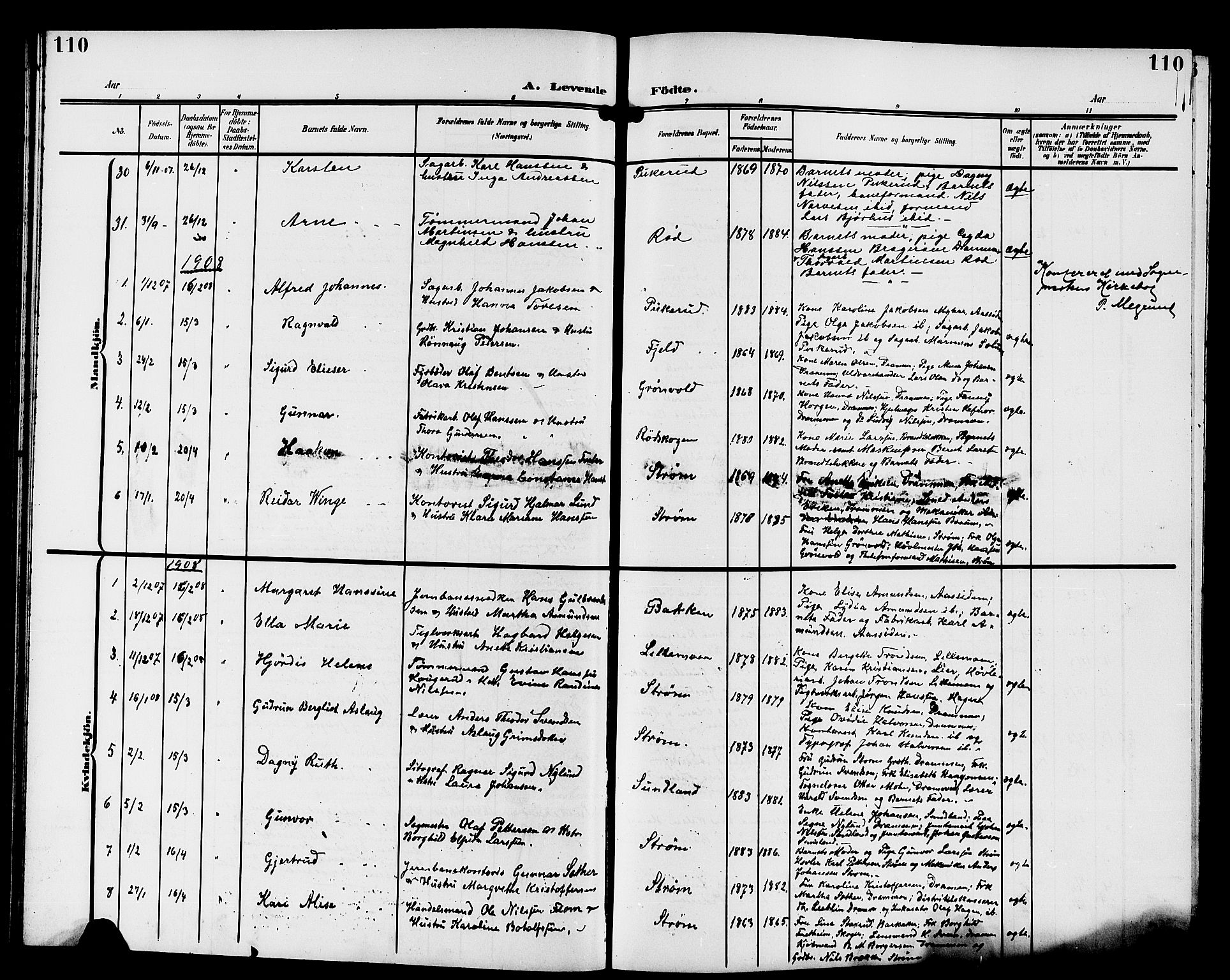 Strømsgodset kirkebøker, AV/SAKO-A-324/G/Ga/L0002: Parish register (copy) no. 2, 1885-1910, p. 110