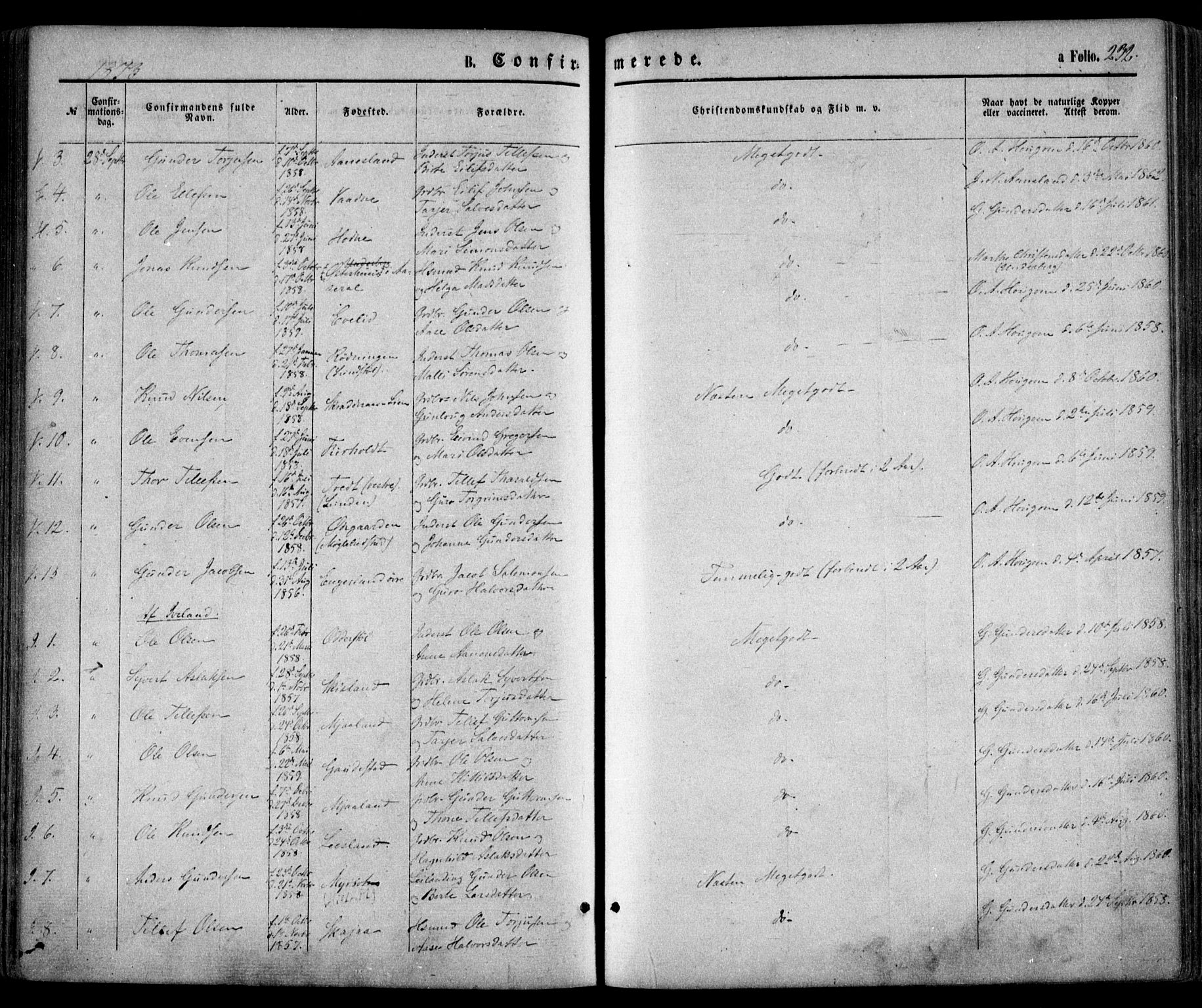 Evje sokneprestkontor, AV/SAK-1111-0008/F/Fa/Faa/L0006: Parish register (official) no. A 6, 1866-1884, p. 232