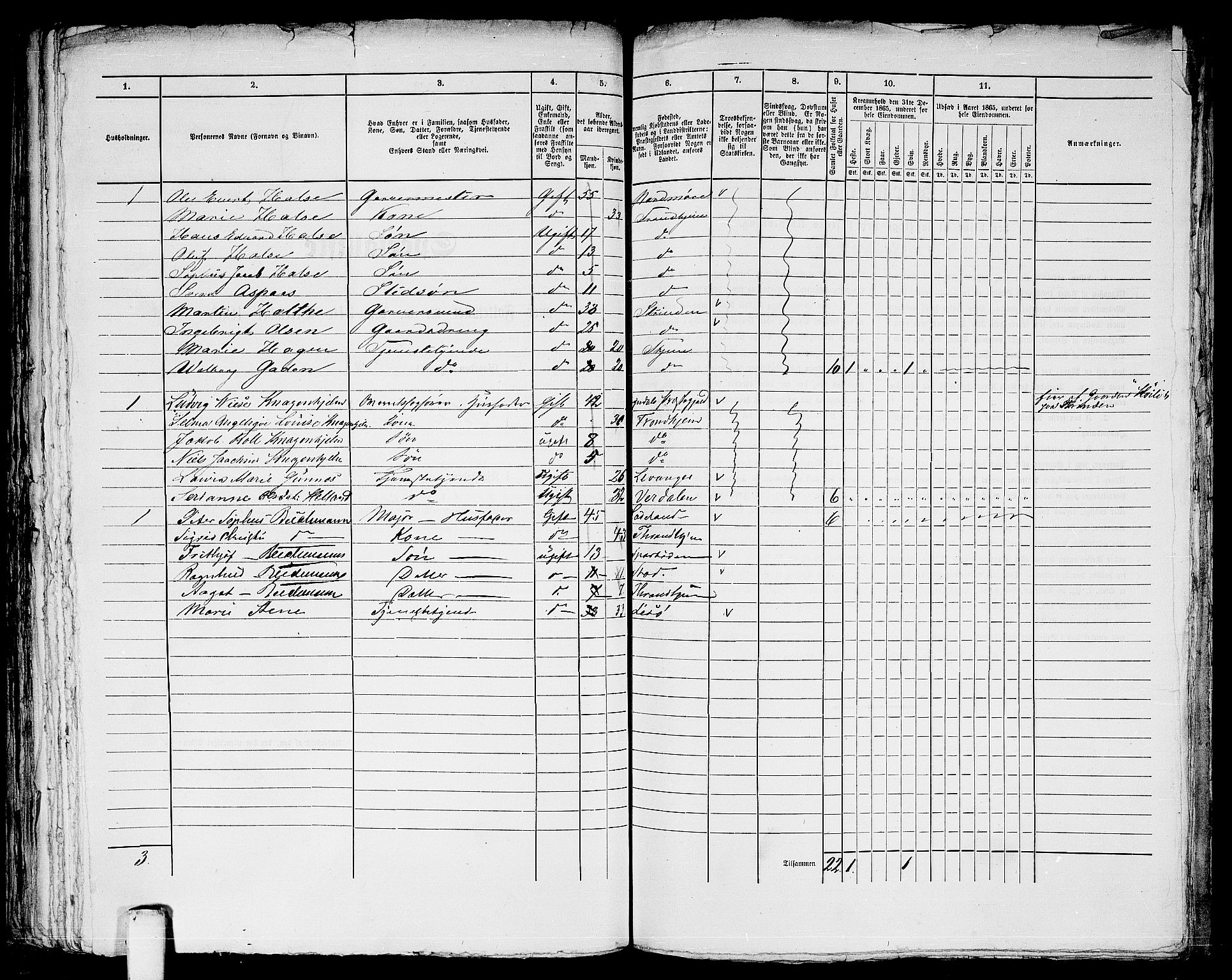 RA, 1865 census for Trondheim, 1865, p. 838