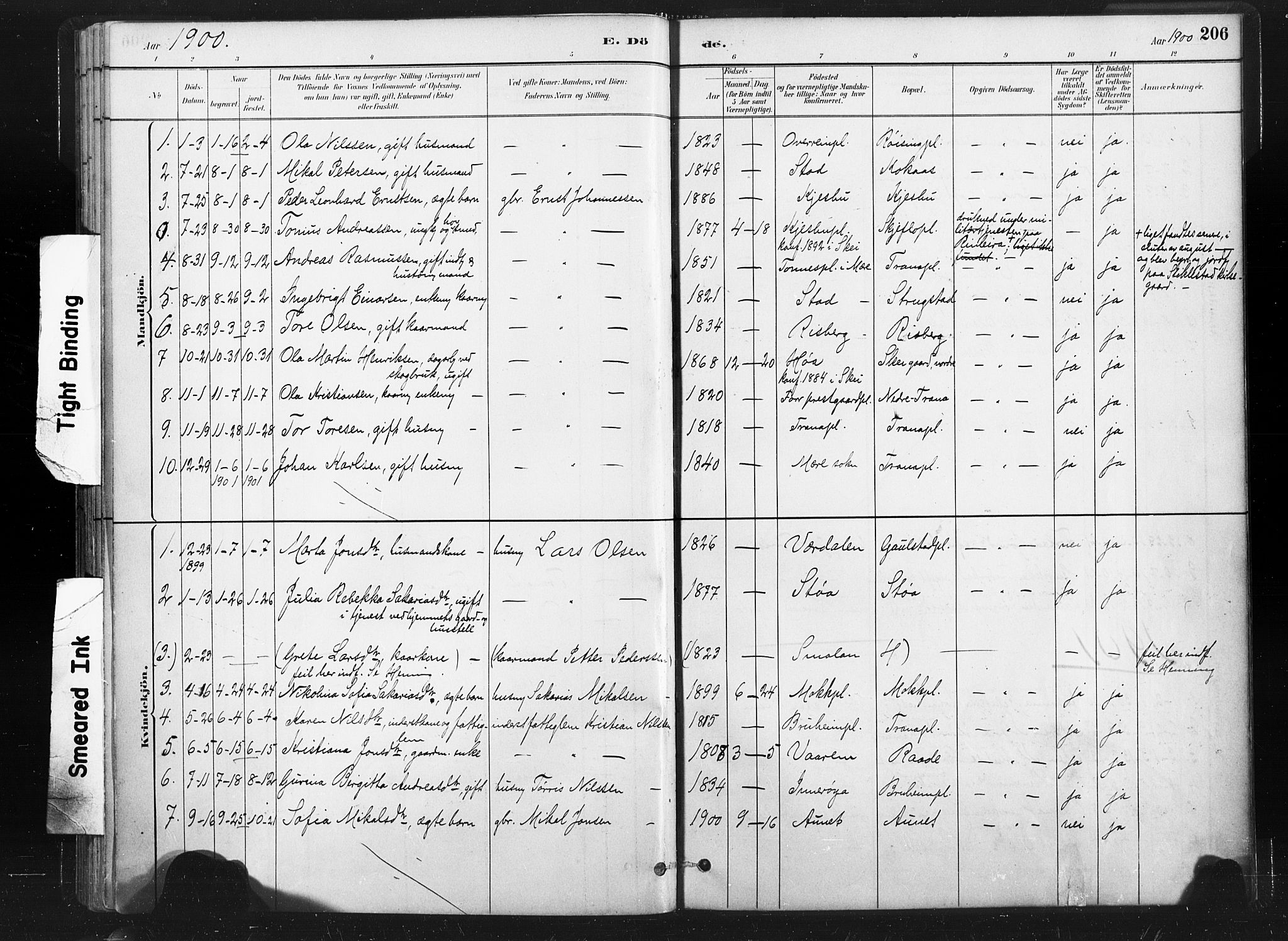 Ministerialprotokoller, klokkerbøker og fødselsregistre - Nord-Trøndelag, SAT/A-1458/736/L0361: Parish register (official) no. 736A01, 1884-1906, p. 206