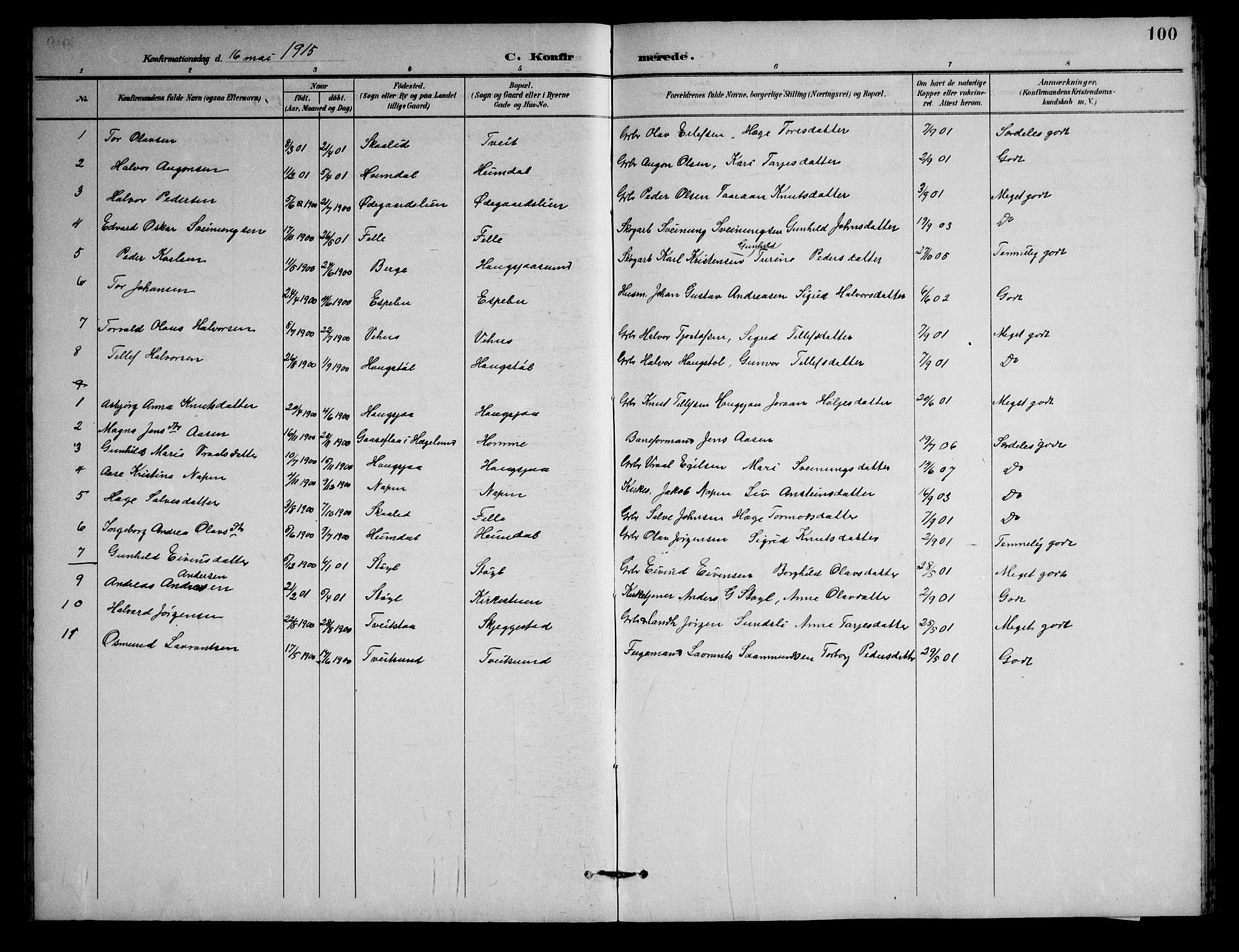 Nissedal kirkebøker, AV/SAKO-A-288/G/Gb/L0003: Parish register (copy) no. II 3, 1893-1928, p. 100