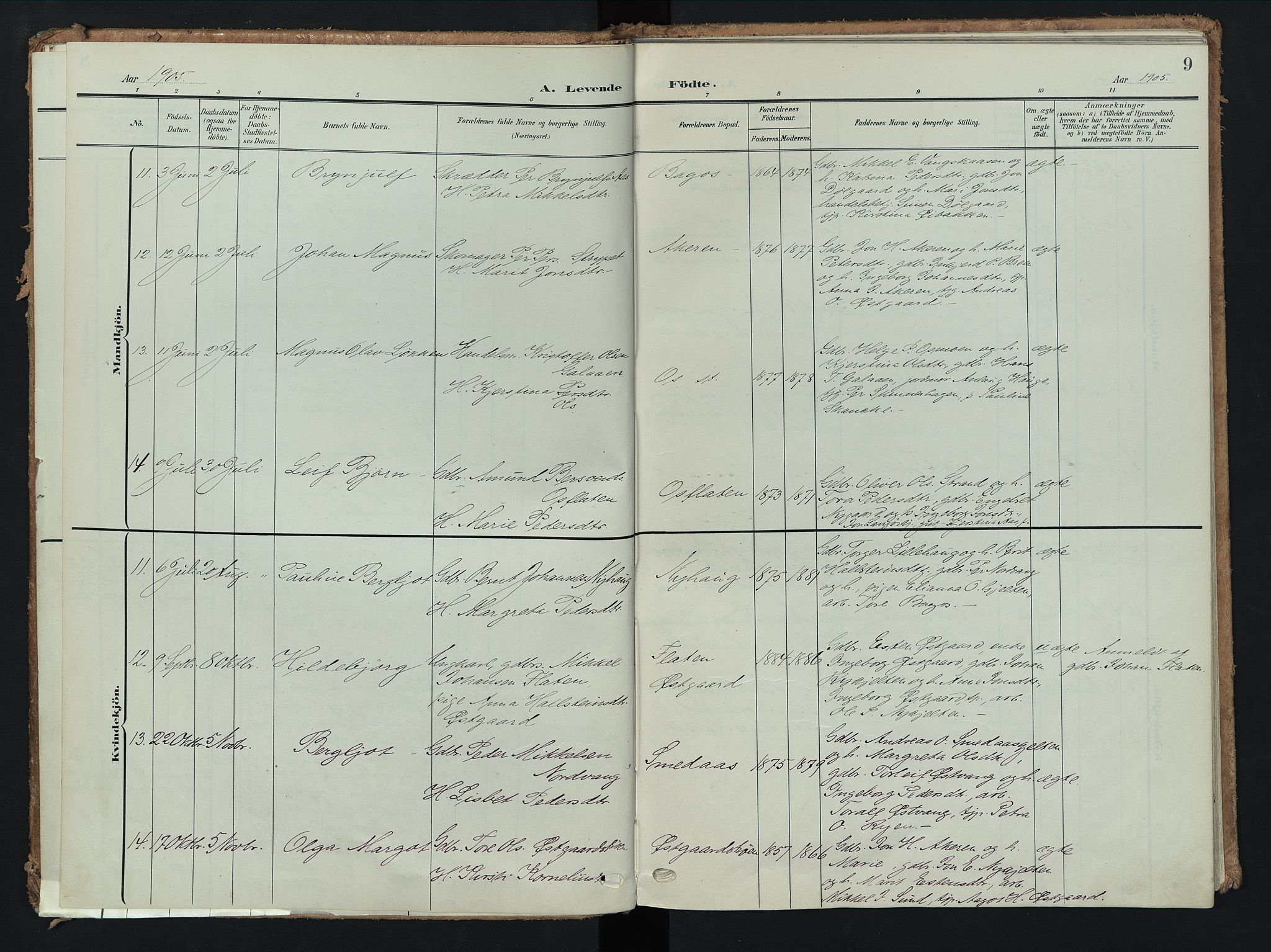 Tolga prestekontor, AV/SAH-PREST-062/K/L0009: Parish register (official) no. 9, 1903-1928, p. 9