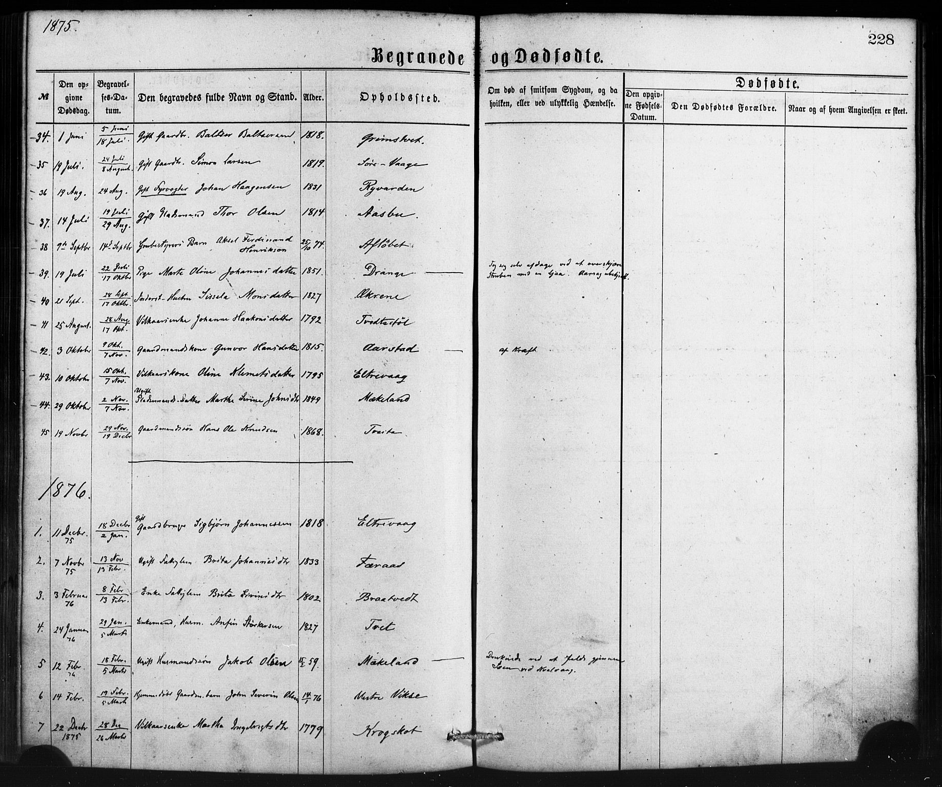 Sveio Sokneprestembete, AV/SAB-A-78501/H/Haa: Parish register (official) no. B 1, 1870-1883, p. 228