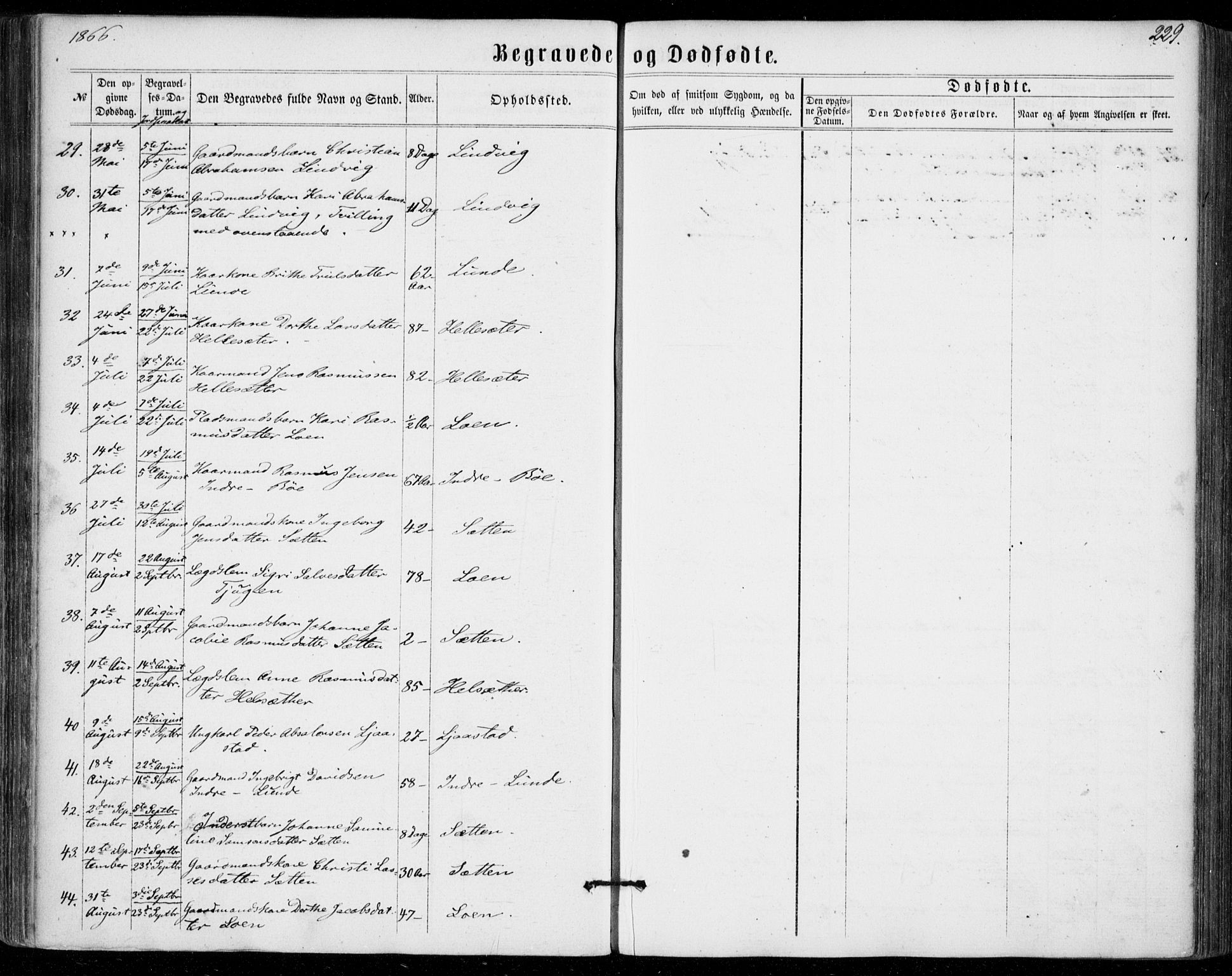 Stryn Sokneprestembete, AV/SAB-A-82501: Parish register (official) no. A 3, 1862-1877, p. 229