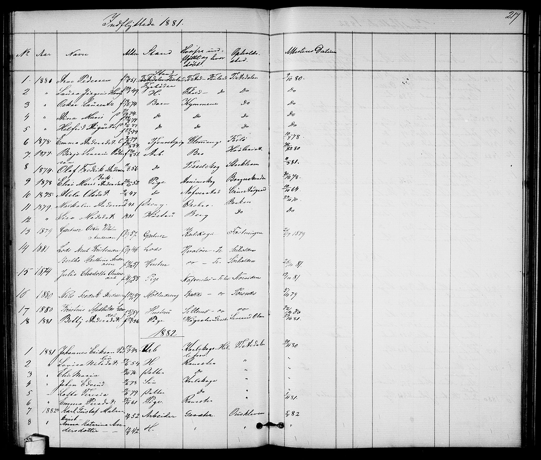 Halden prestekontor Kirkebøker, SAO/A-10909/G/Ga/L0007: Parish register (copy) no. 7, 1869-1884, p. 217