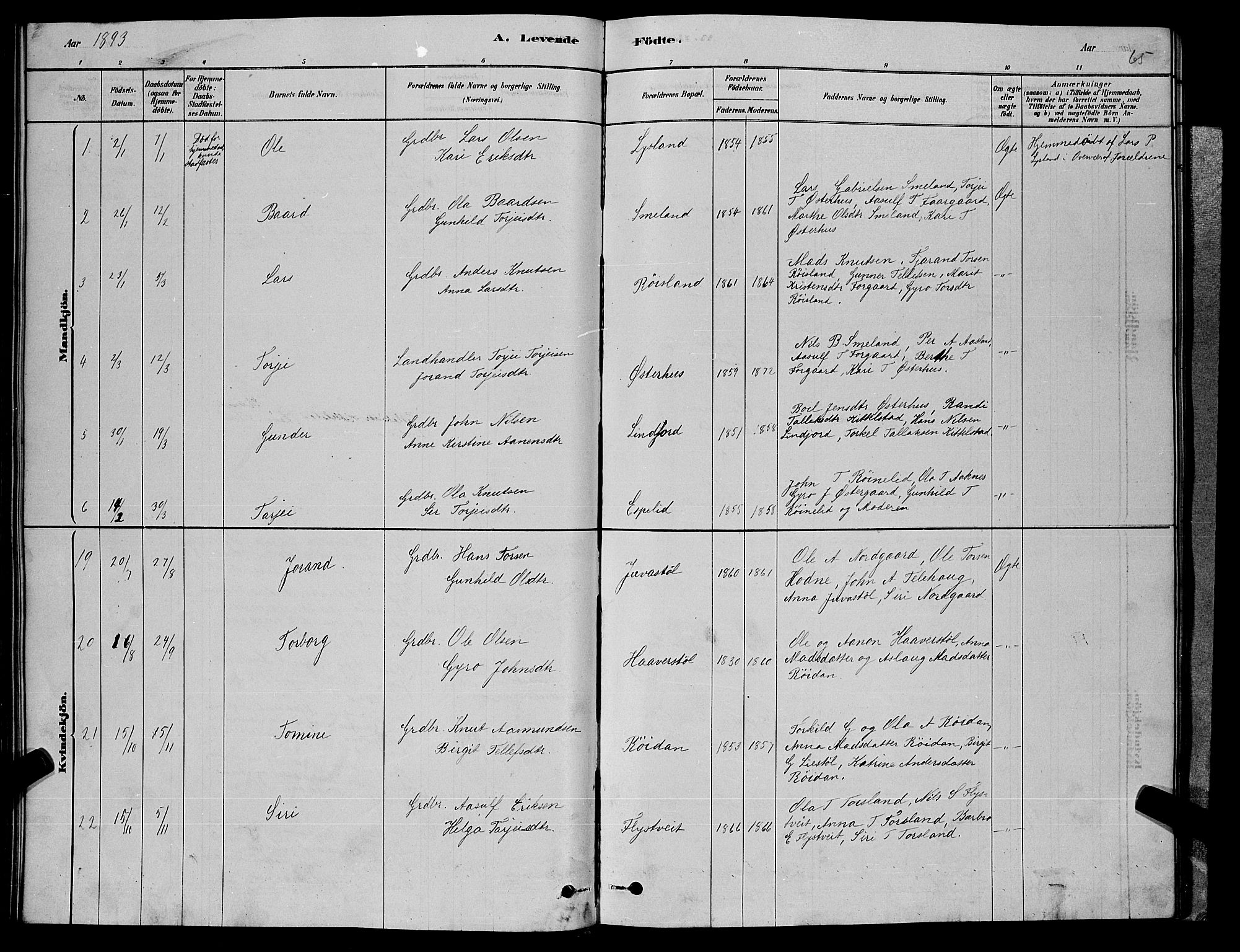 Åseral sokneprestkontor, SAK/1111-0051/F/Fb/L0002: Parish register (copy) no. B 2, 1878-1899, p. 65